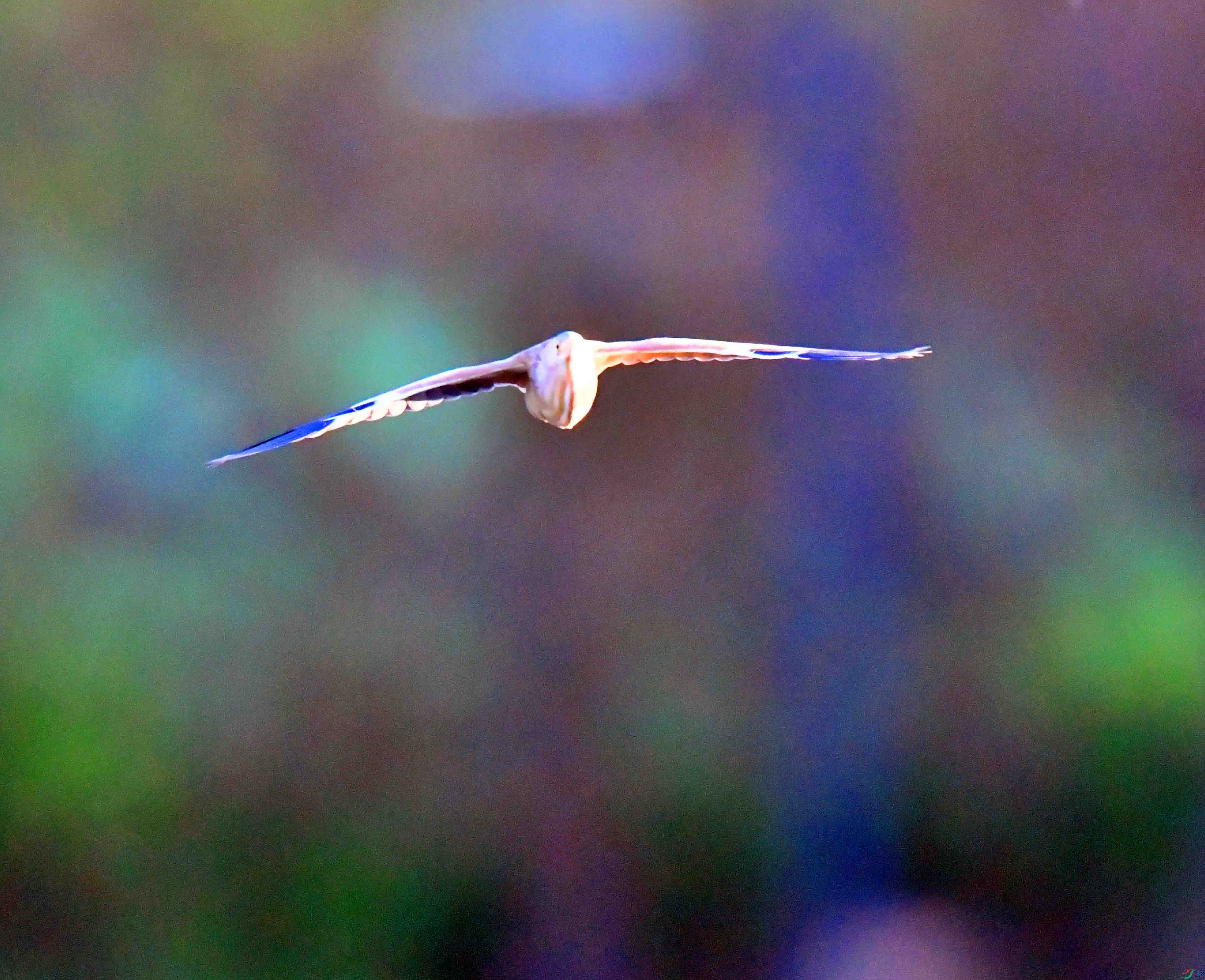 DSC_6378.JPG