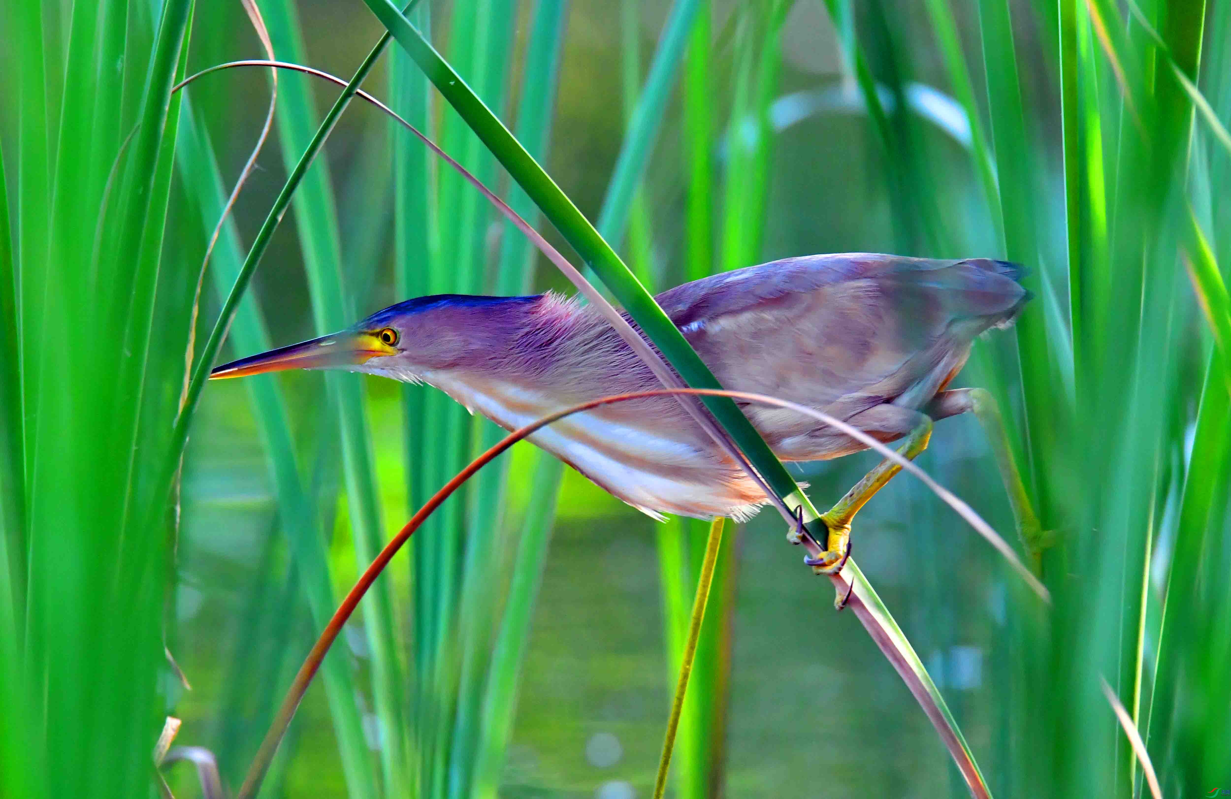 DSC_6402.JPG
