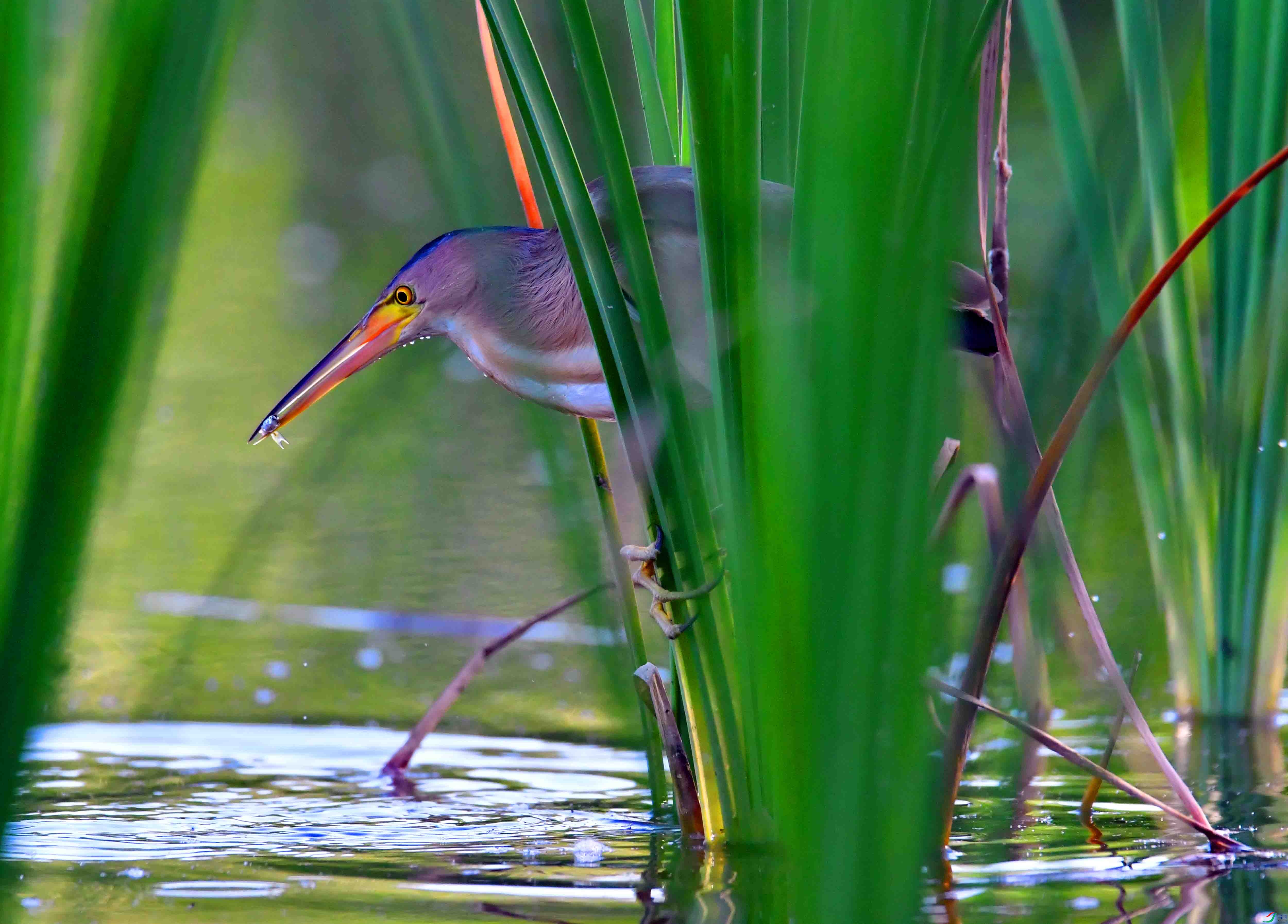 DSC_6421.JPG