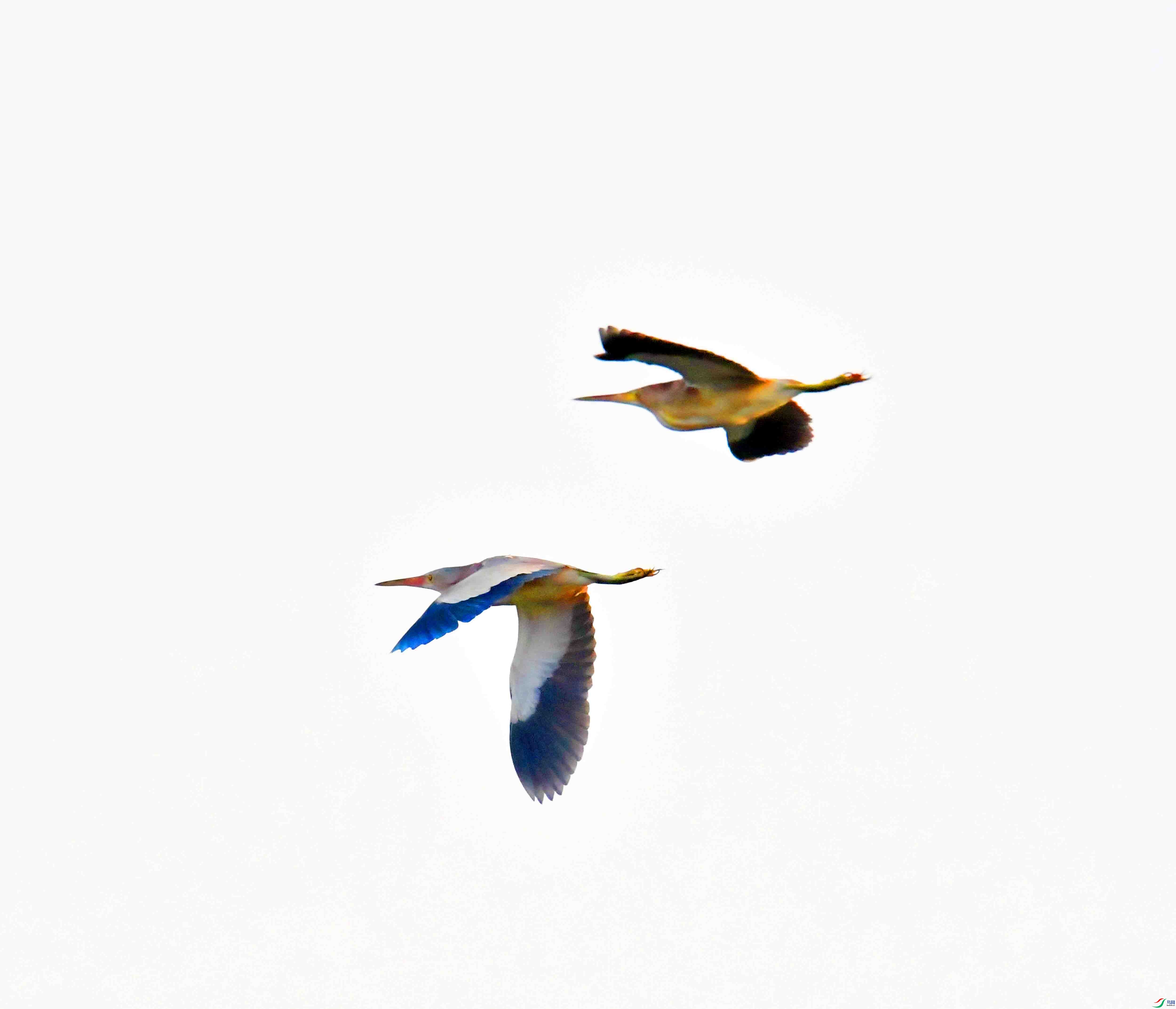 DSC_6500.JPG