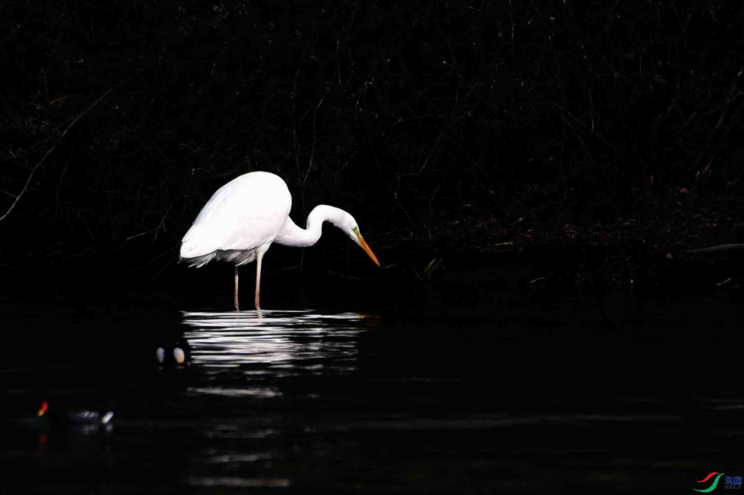 DSC_2056.JPG