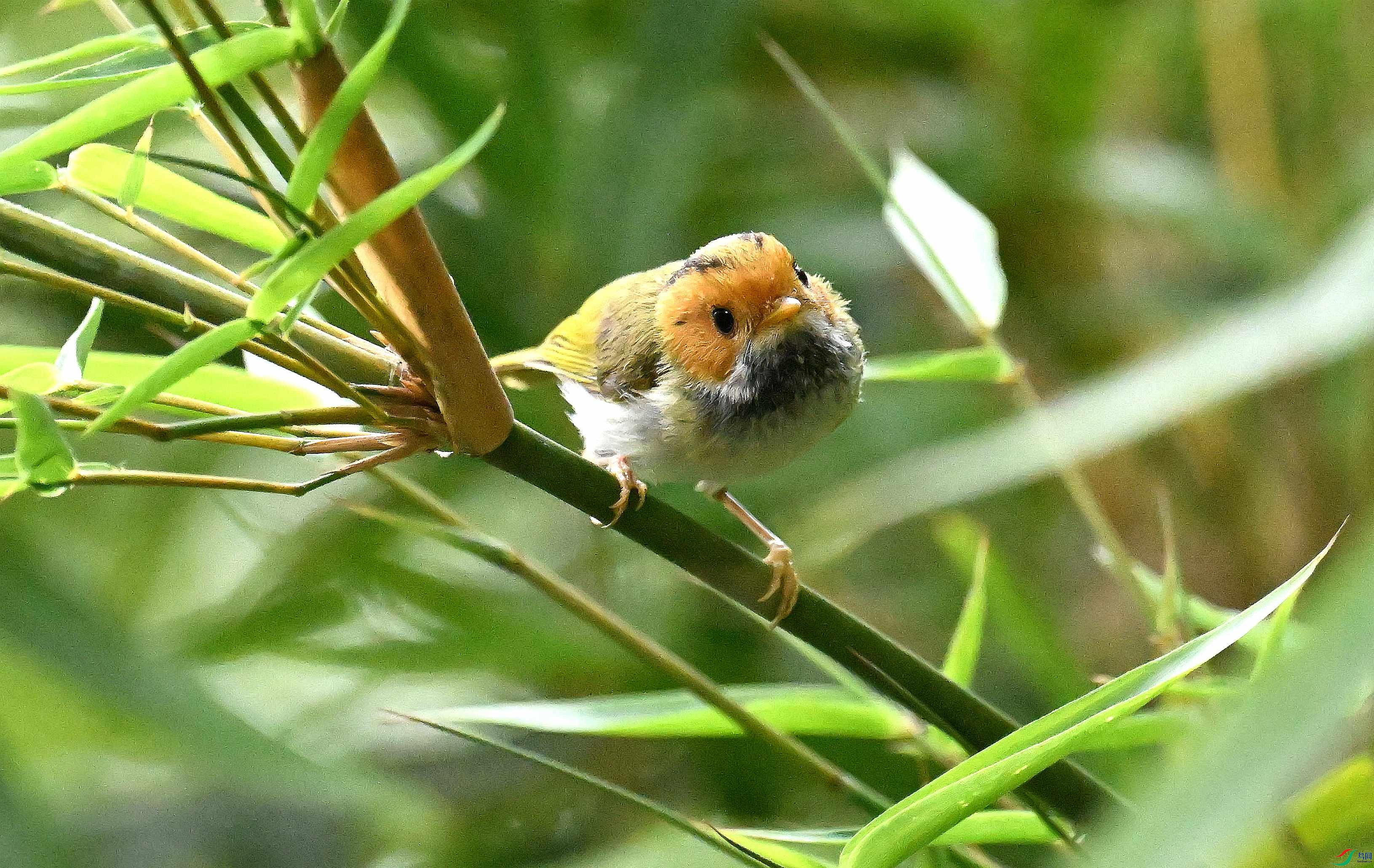 DSC_9945_����.jpg