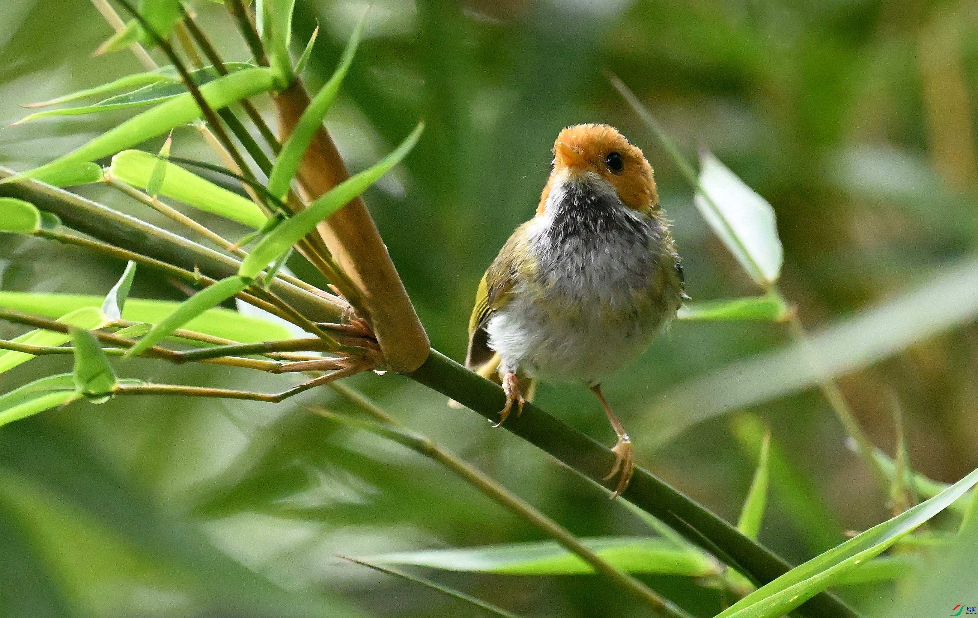 DSC_9960_����.jpg
