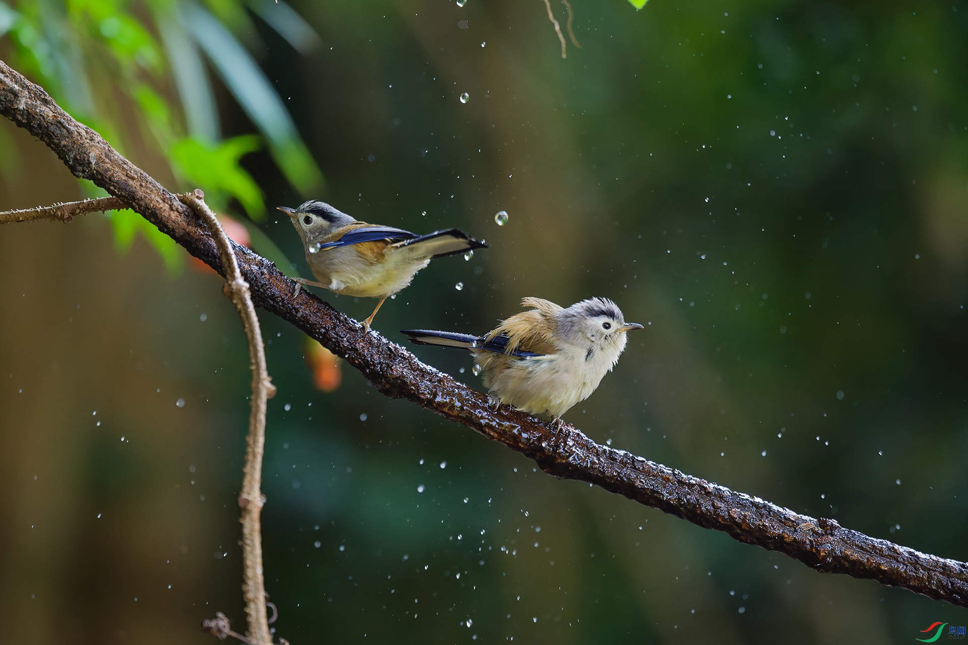 4DSC_7429_DxO_DxOa.jpg
