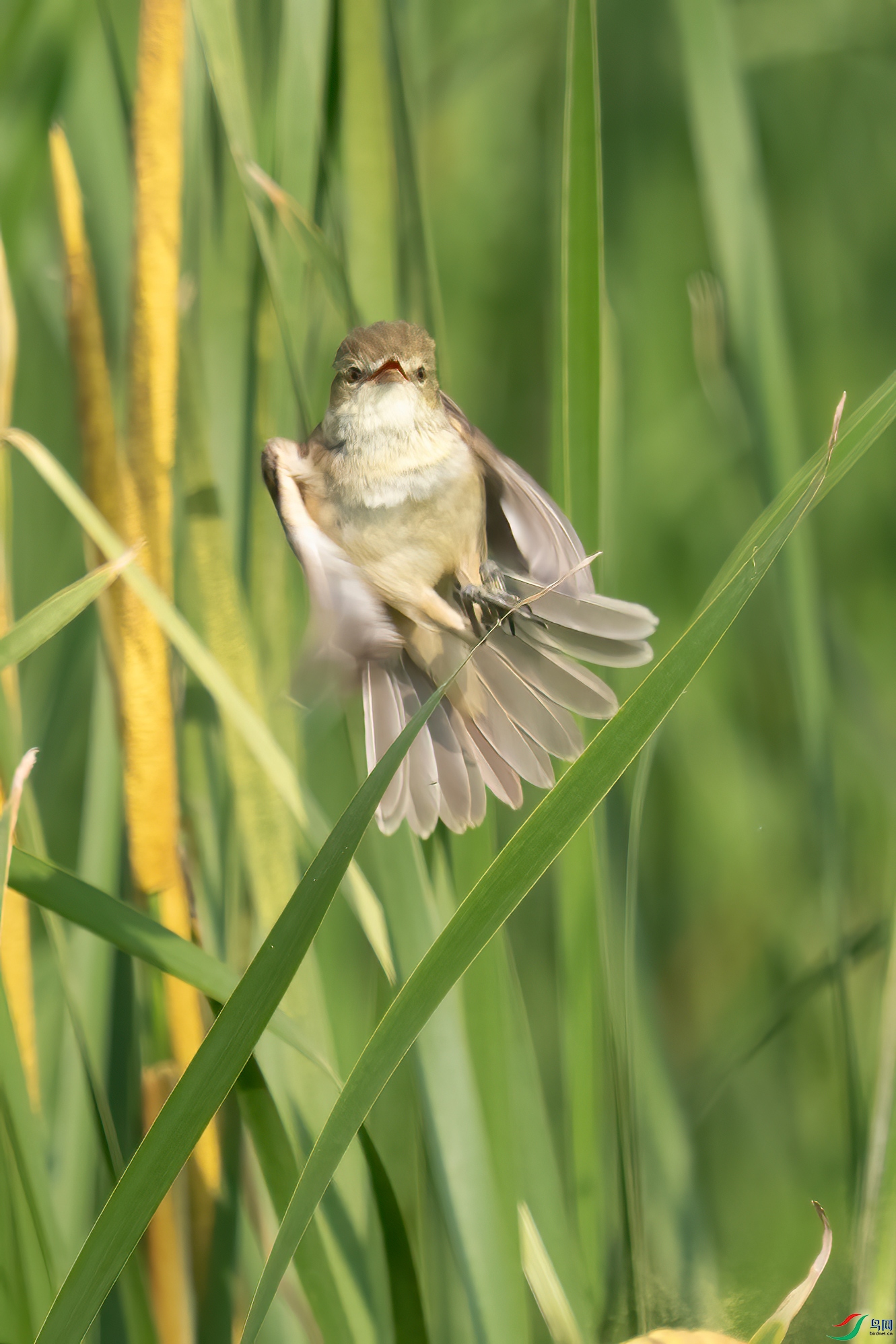 DSC_5522.jpg