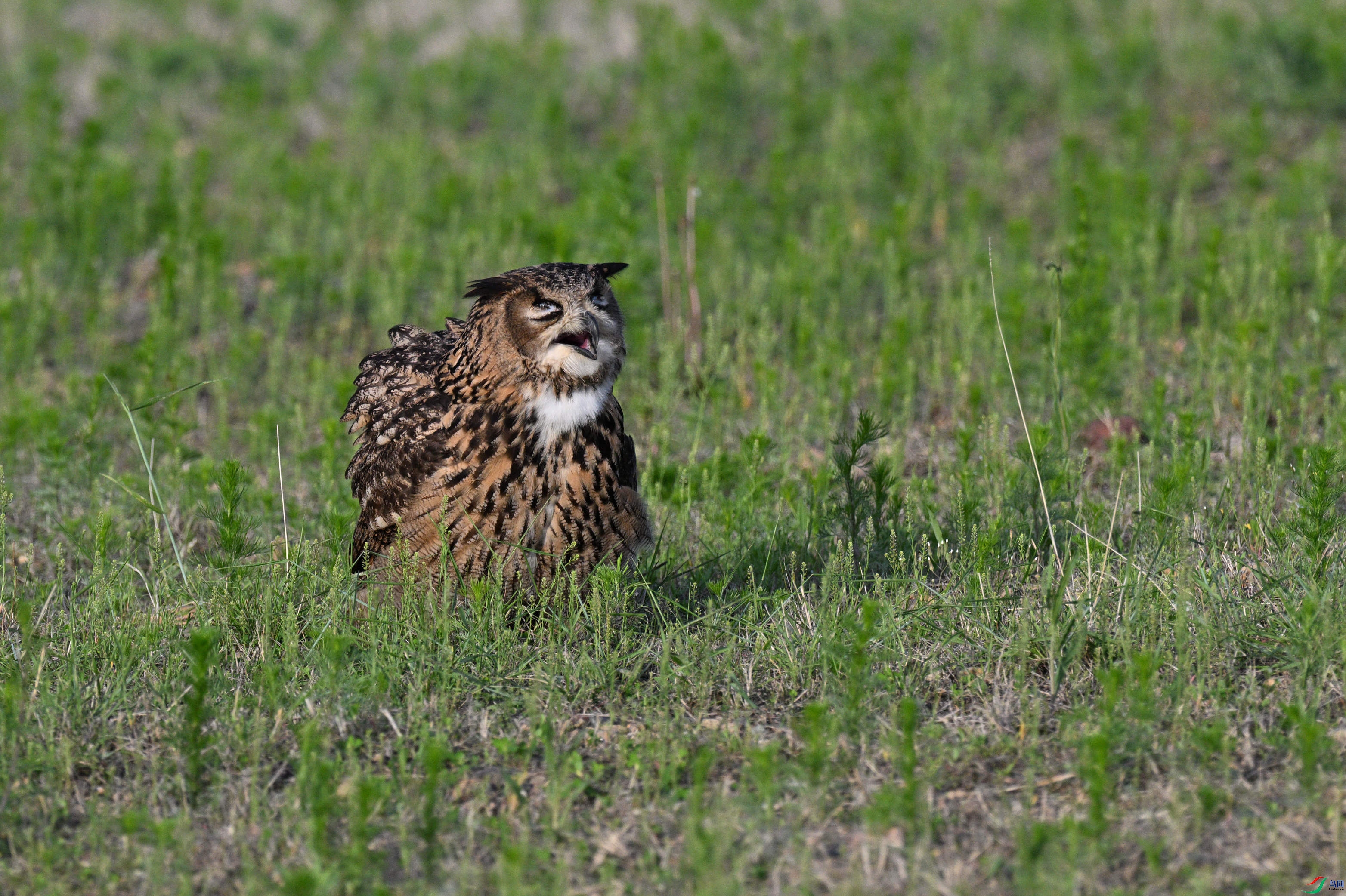 DSC_9166_����.jpg