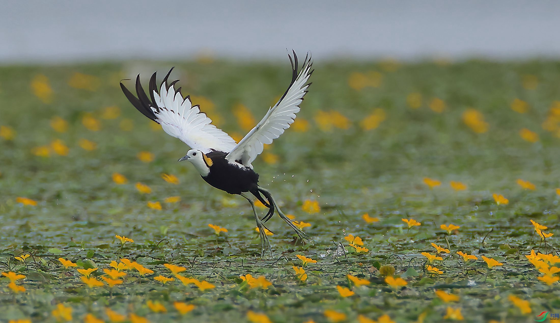4R6A0290-SharpenAI-Motion.jpg