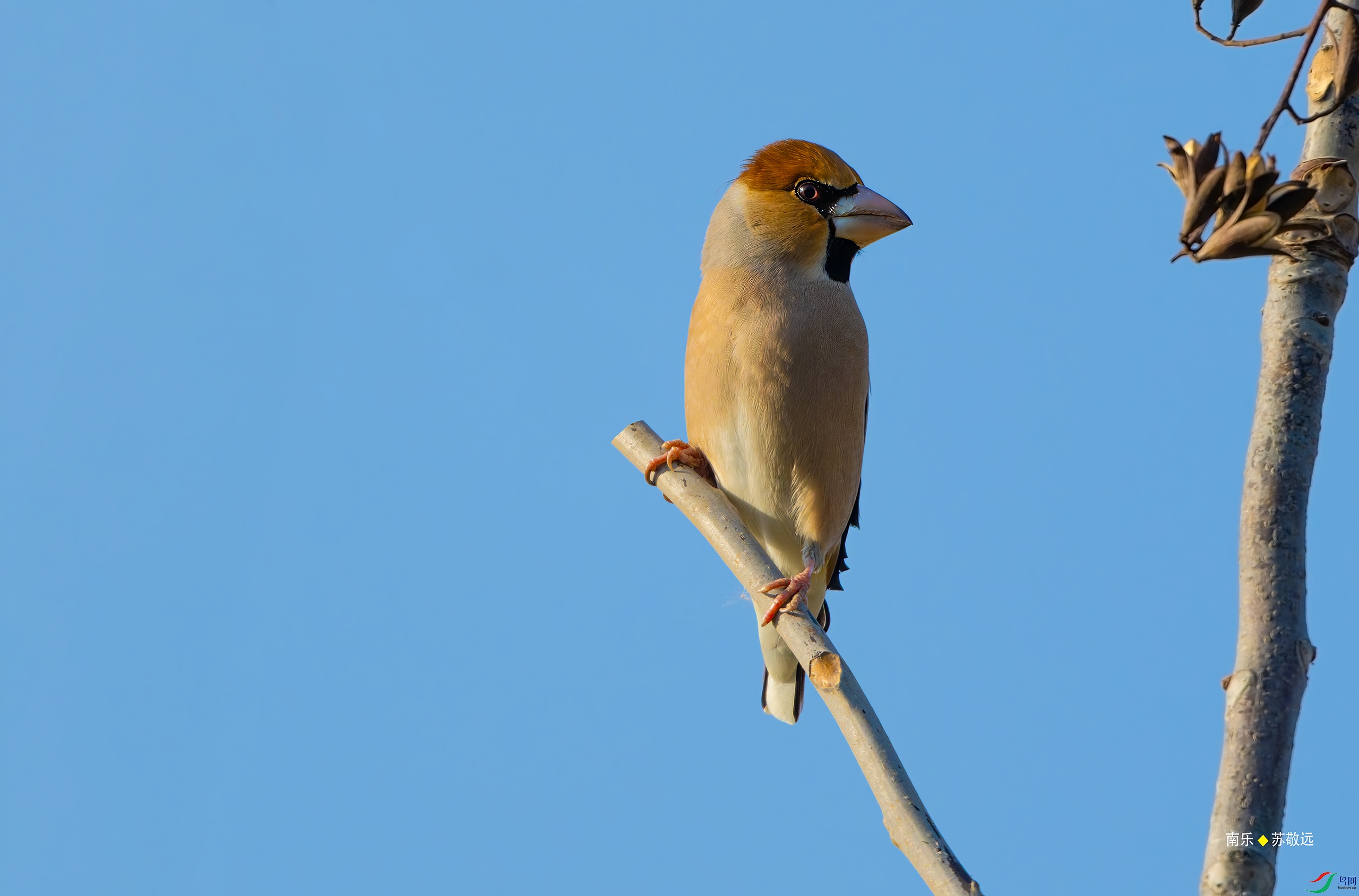 _DSC7495-DxO_С.jpg