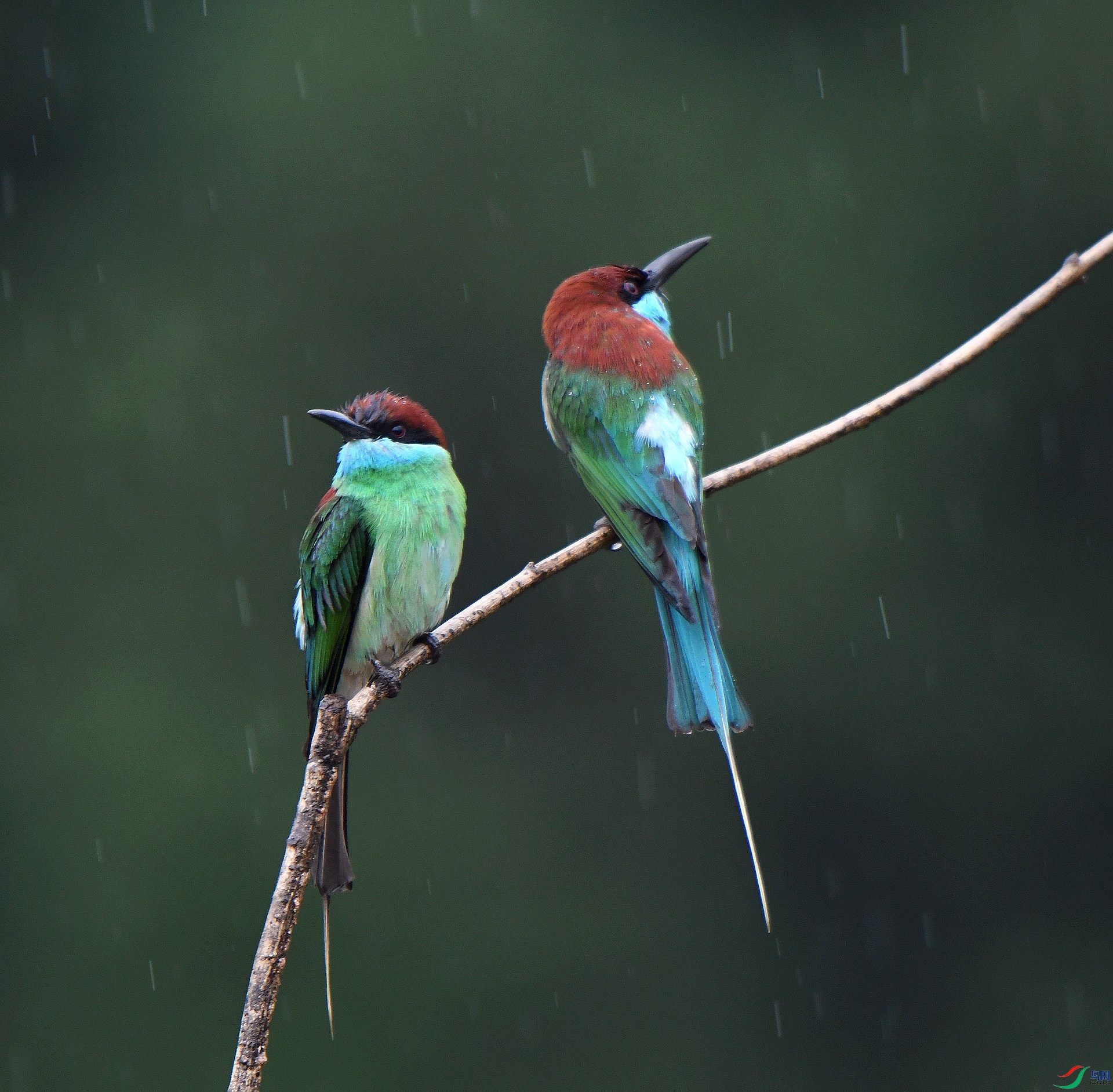 DSC_0036.jpg