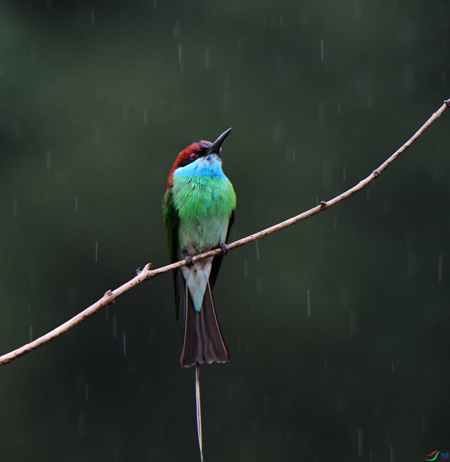 DSC_0356.jpg