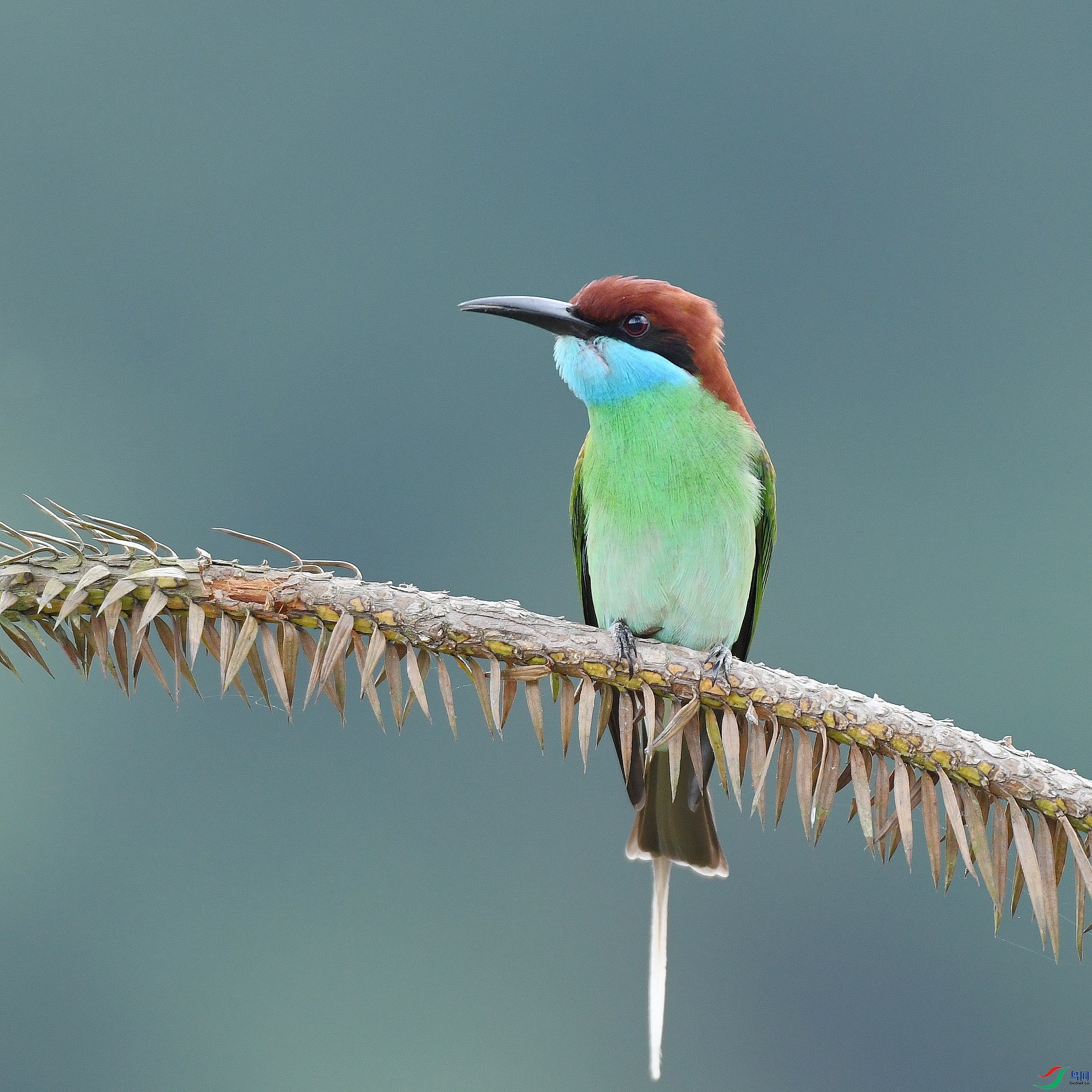DSC_6237.jpg