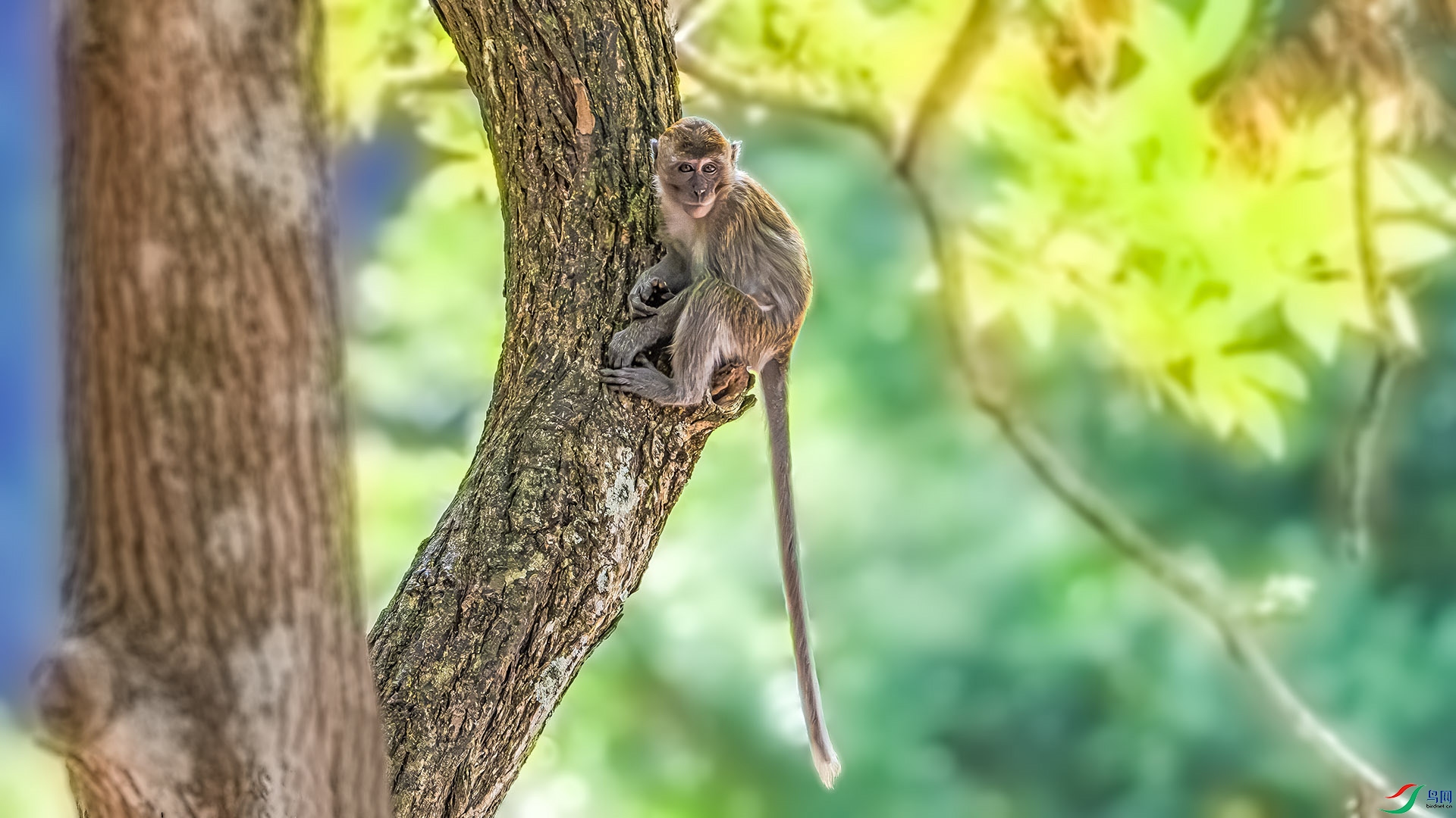DSC_1217 ����.jpg