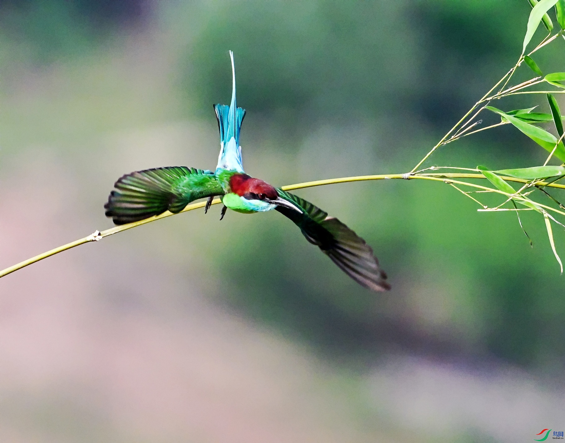 DSC_0324---_conew1.jpg