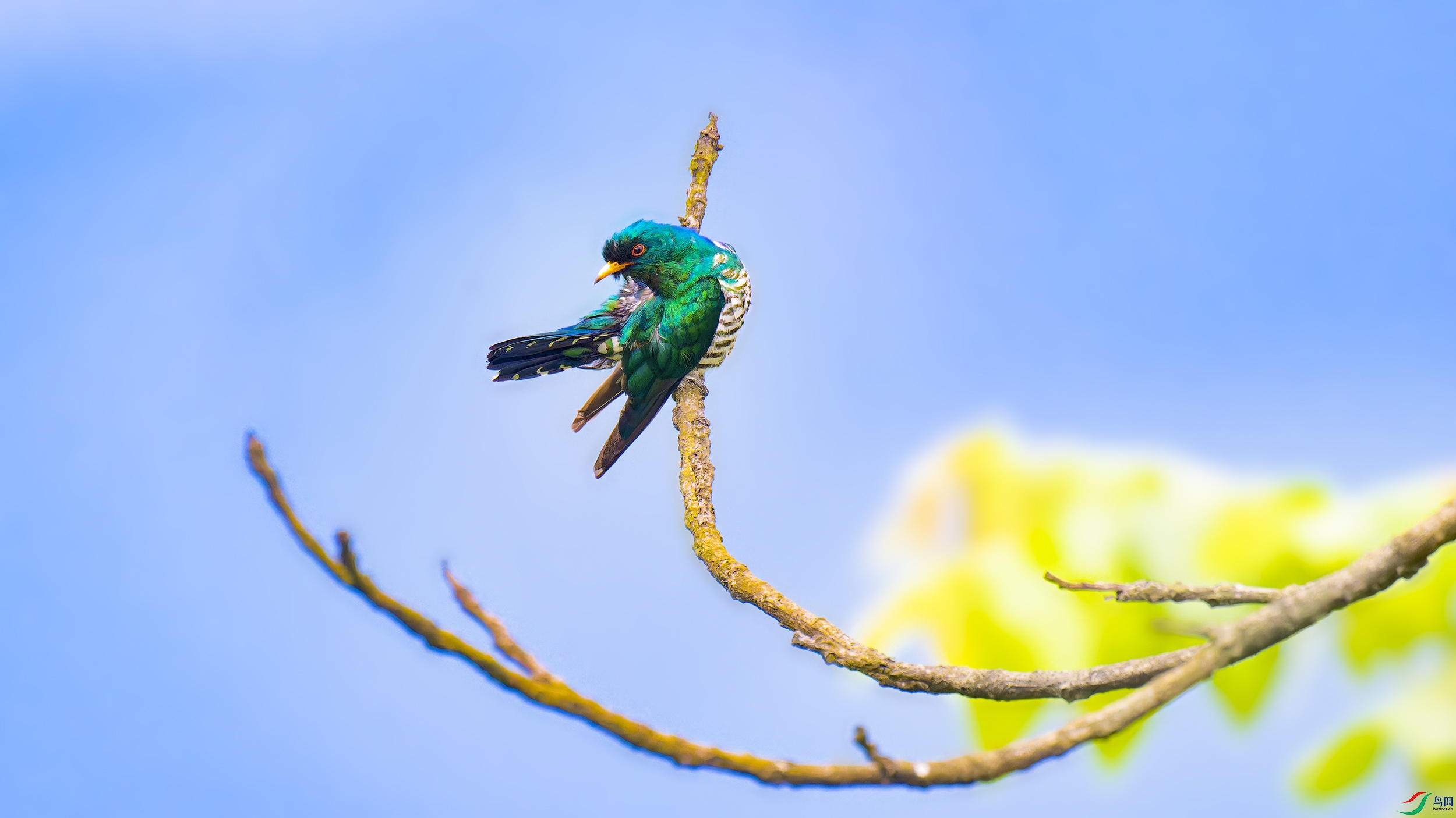 DSC_5434_DxO.jpg