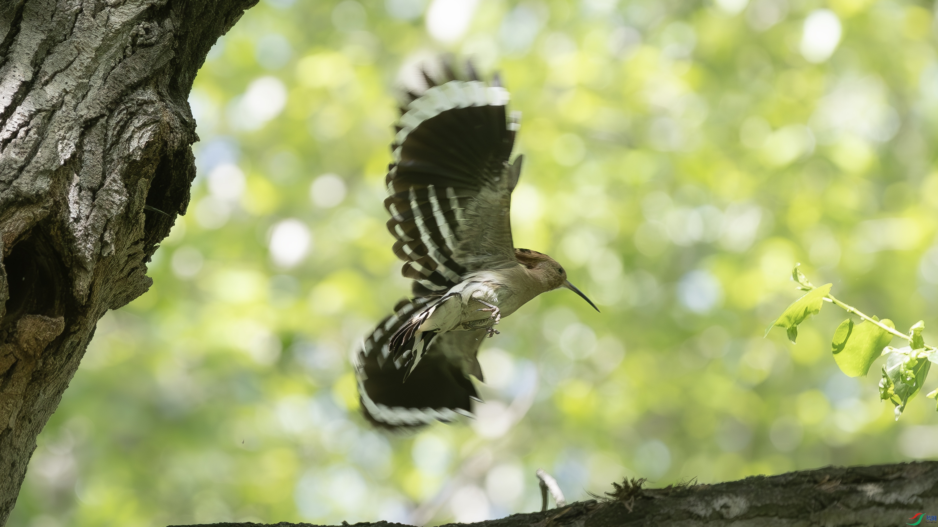 7X5A9402-1.jpg