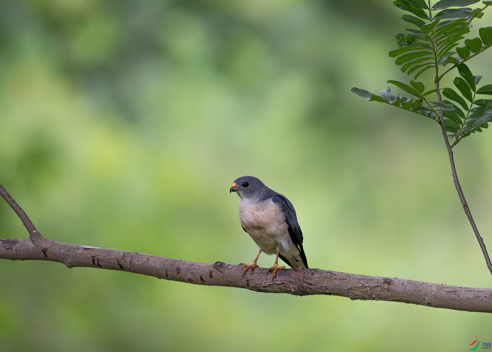 DSC_6689.jpg