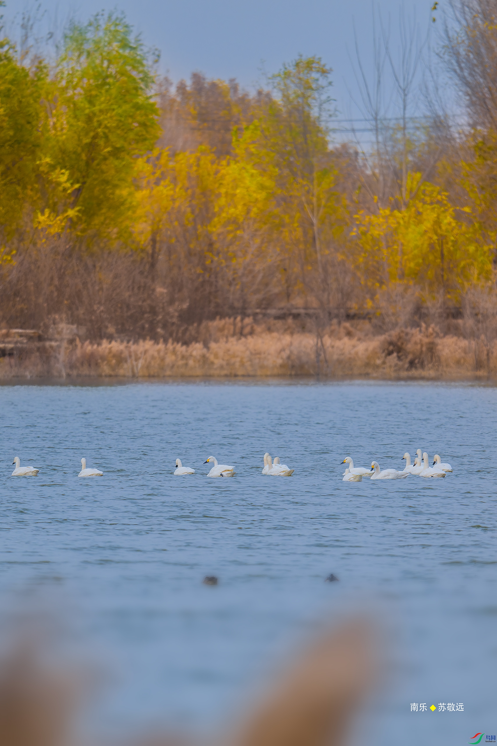 _DSC8423-DxO_С.jpg