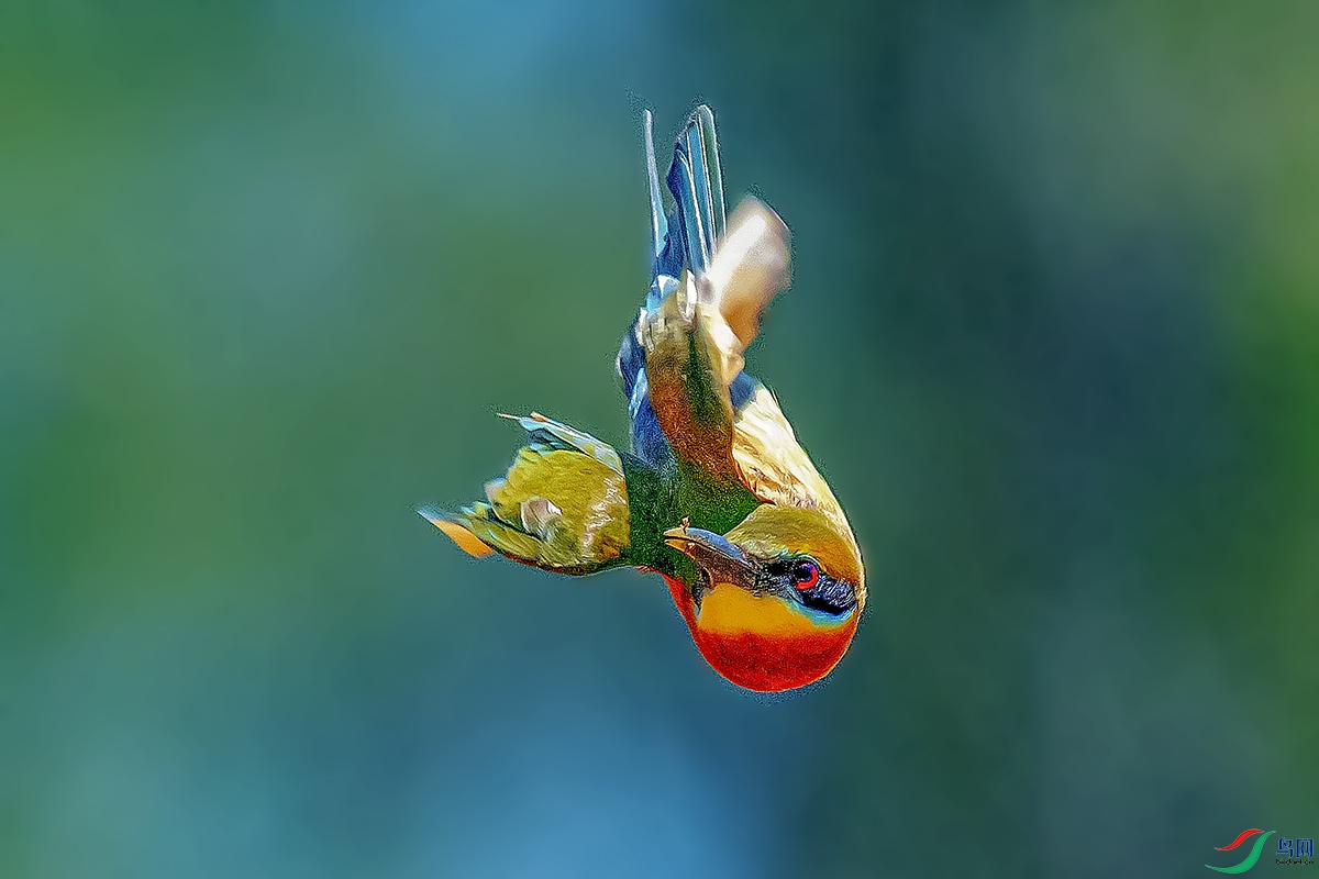 DSC_7842-����ǿ23.jpg