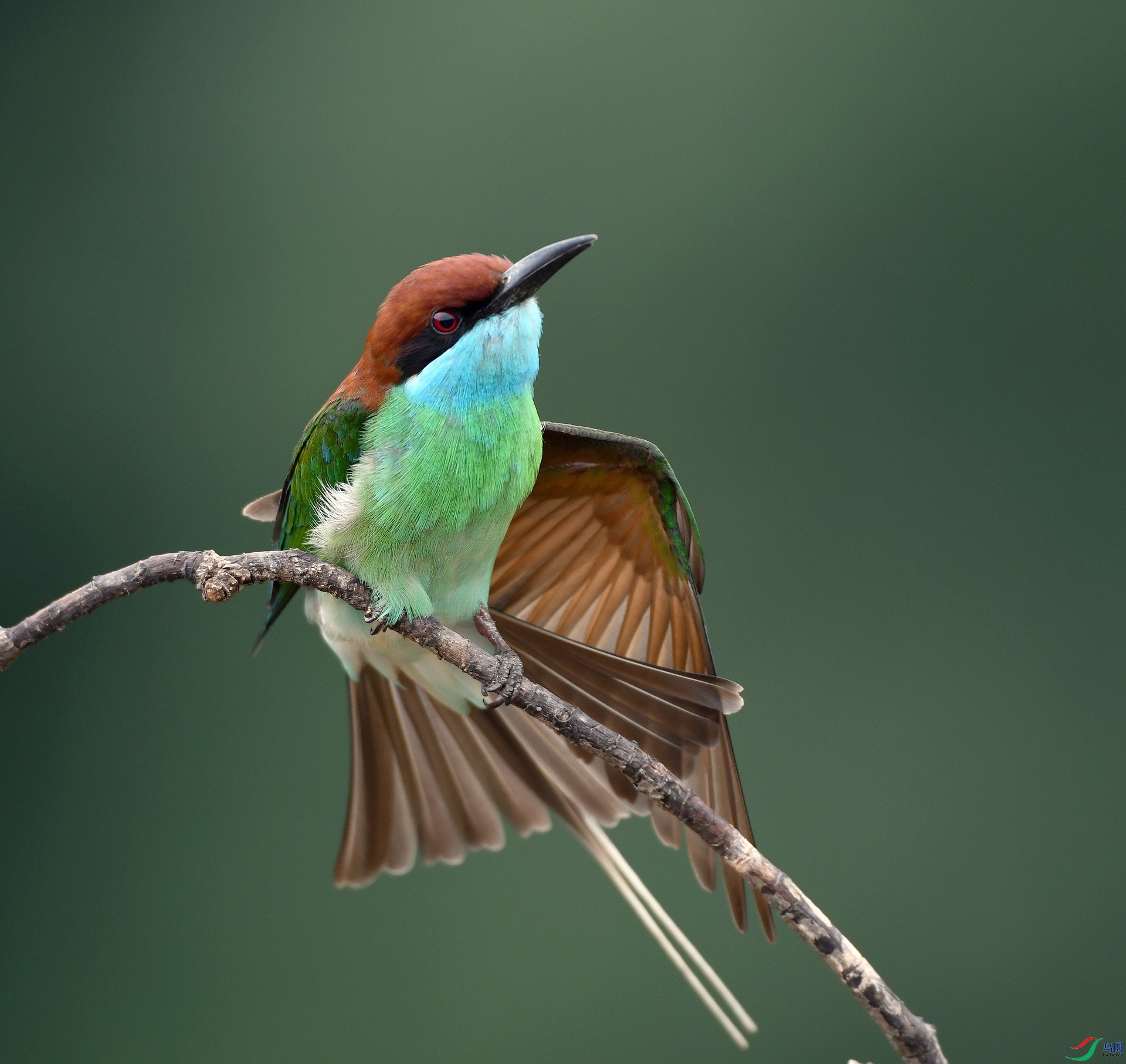 DSC_2704.jpg