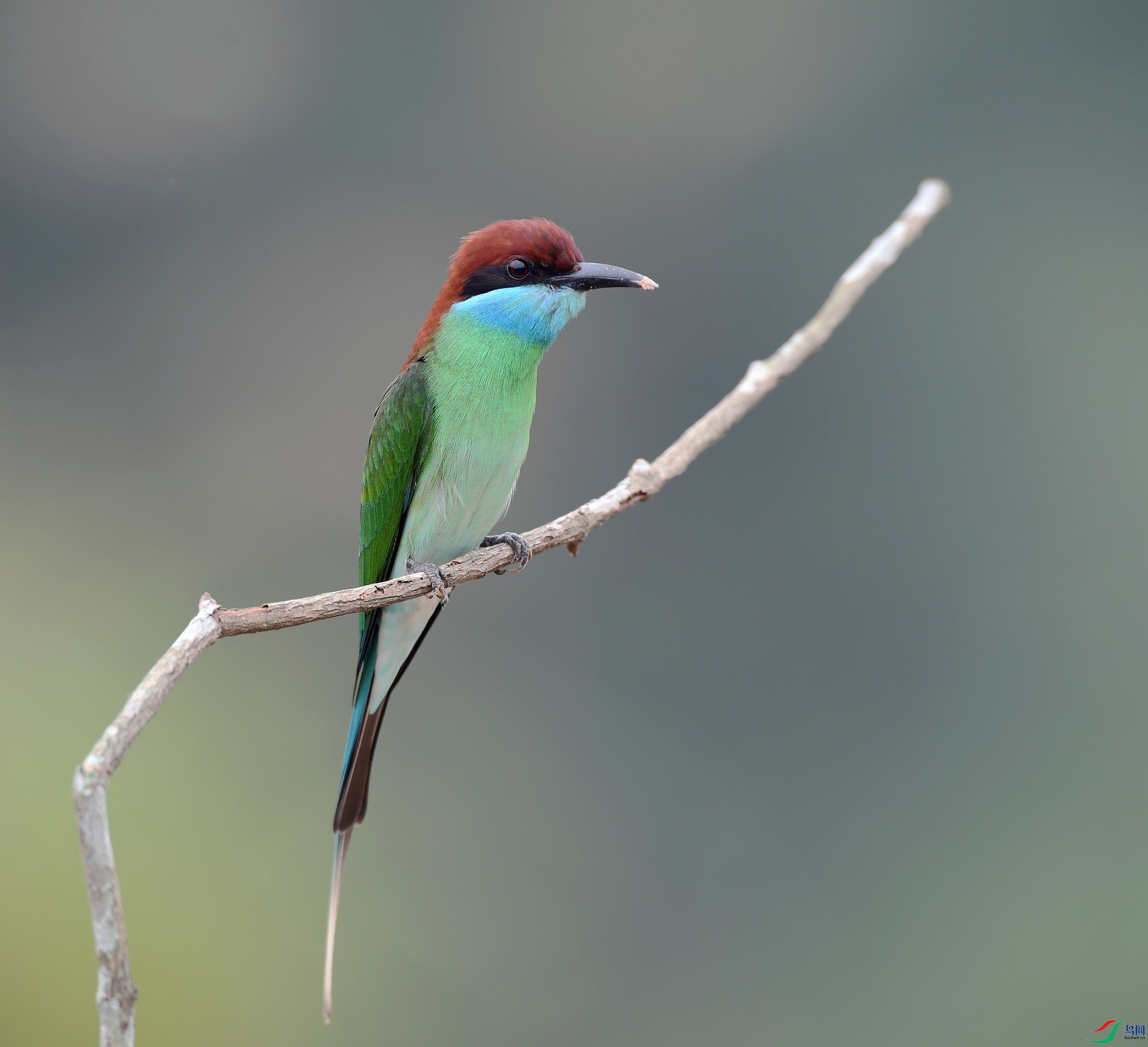 DSC_2935.jpg