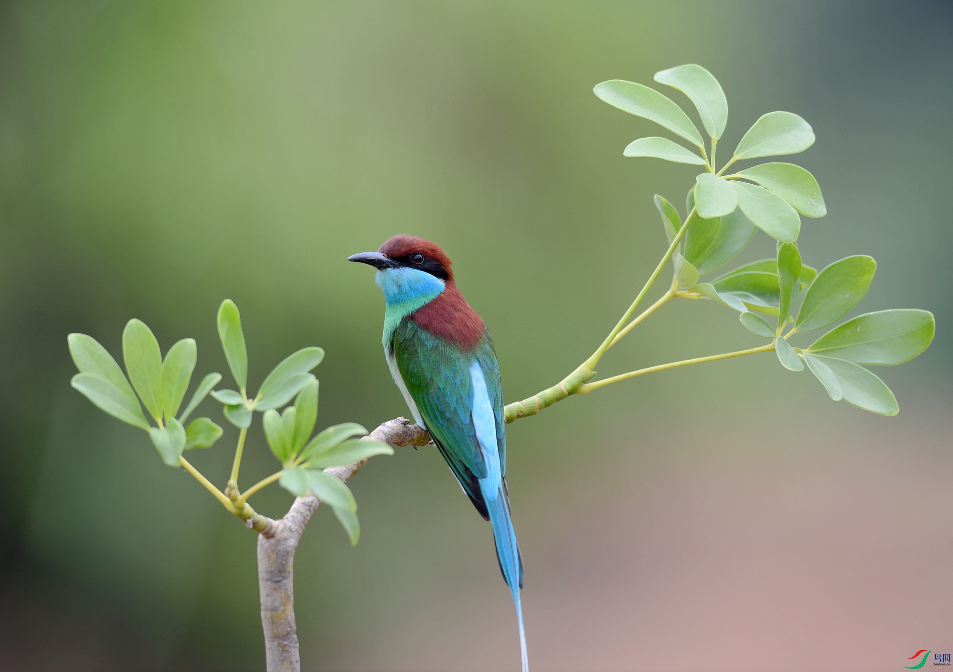 DSC_2780.jpg