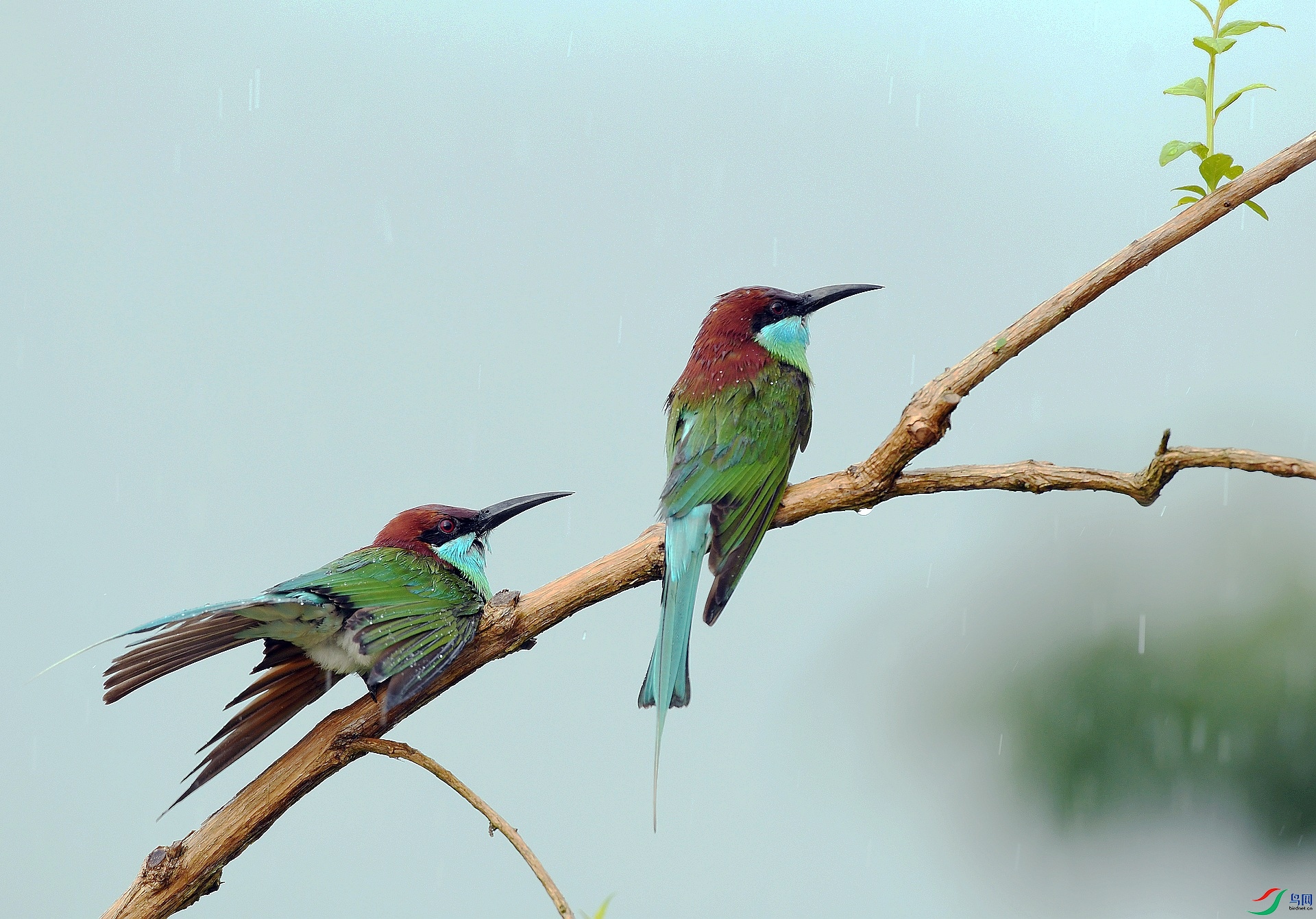 DSC_1561.jpg