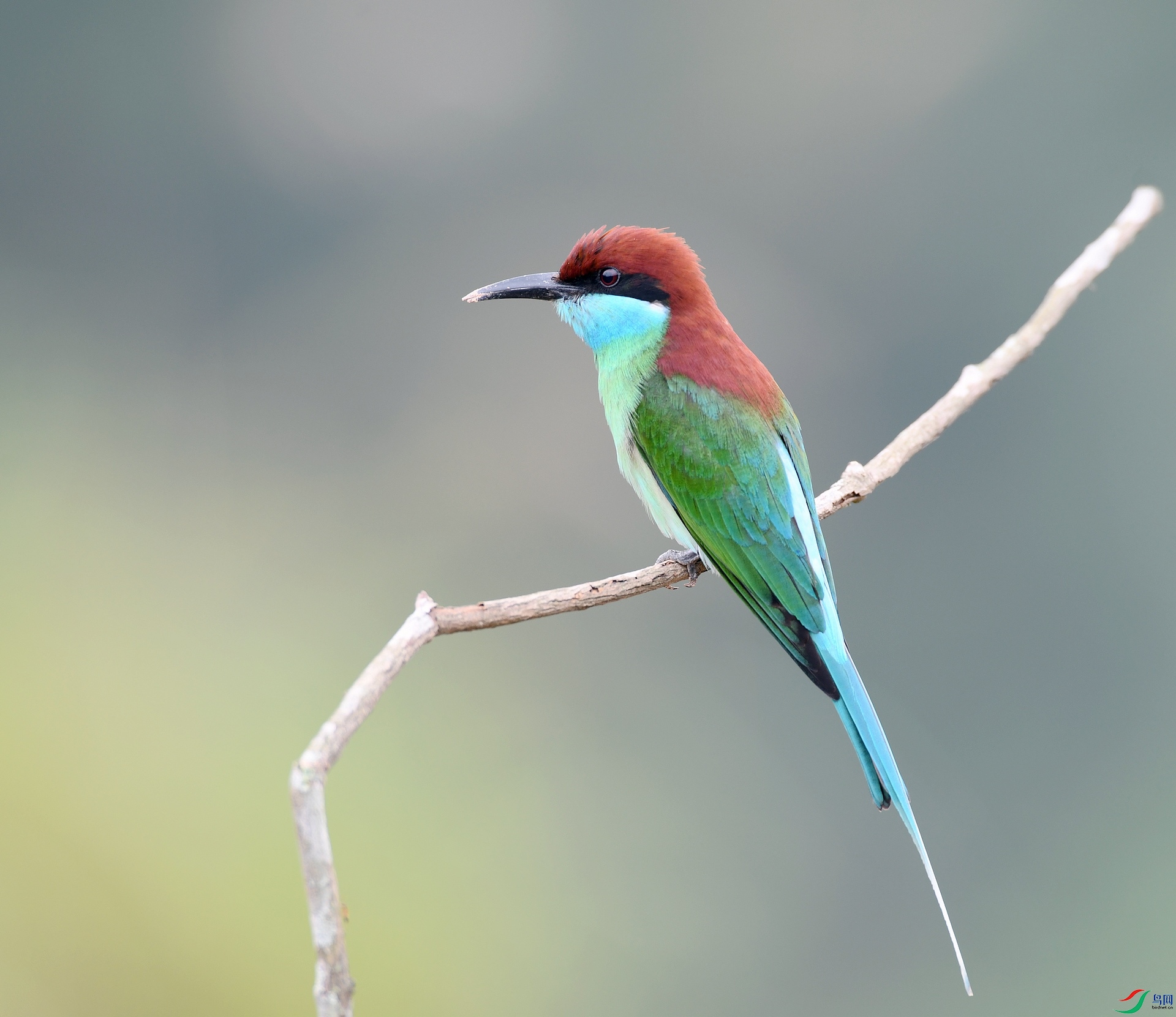 DSC_2957.jpg