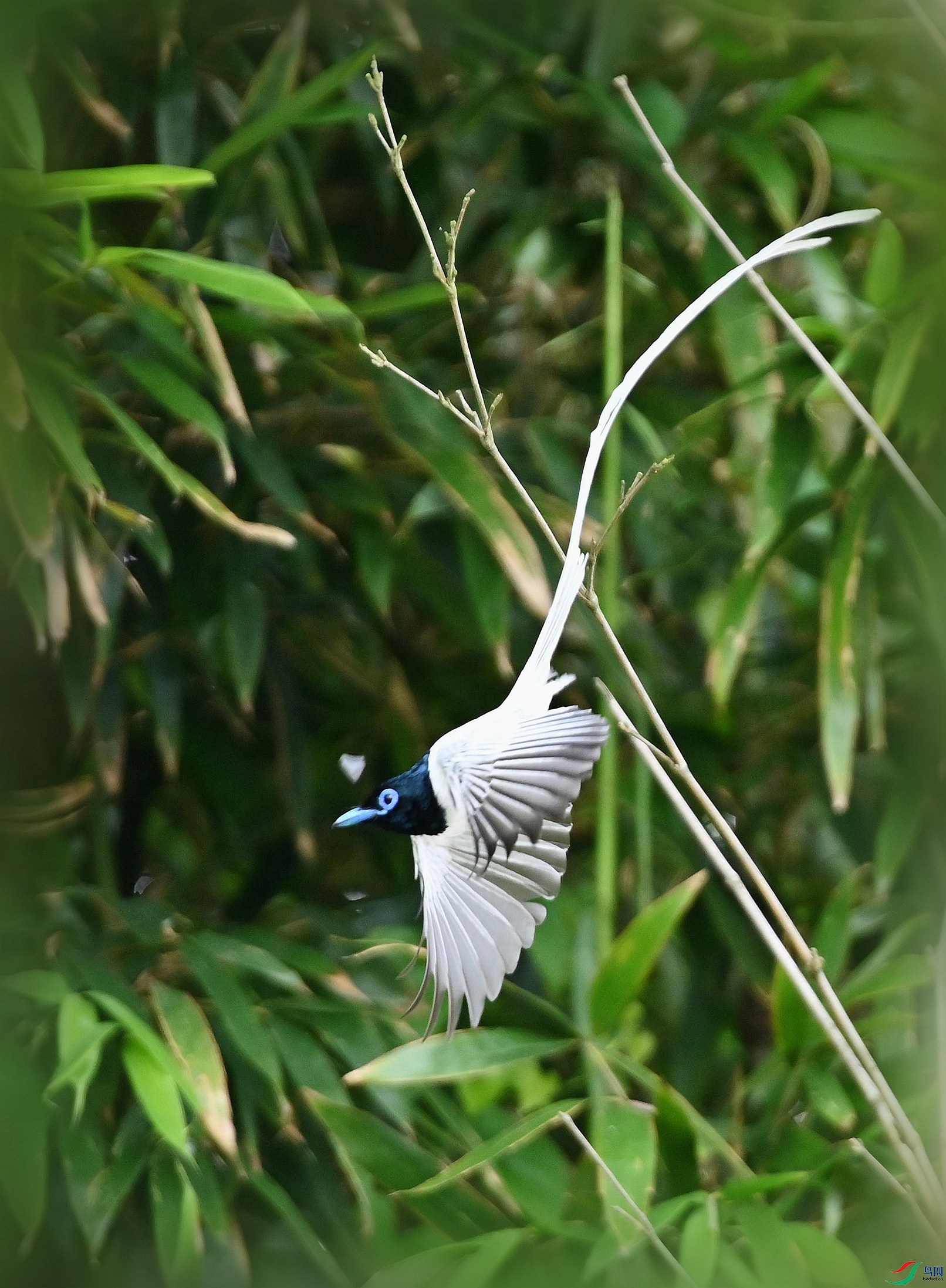 DSC_5688_����_����.jpg