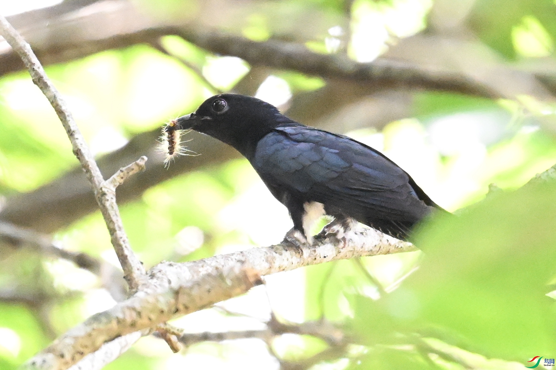 DSC_0569.JPG
