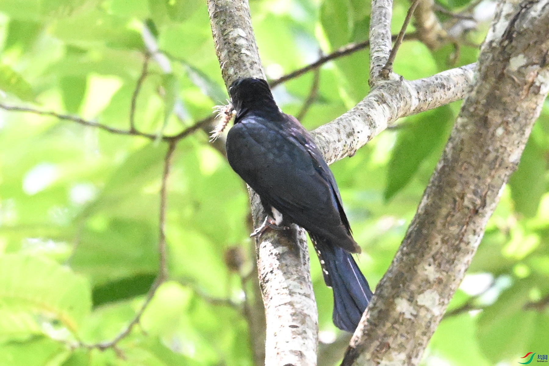 DSC_0585.JPG