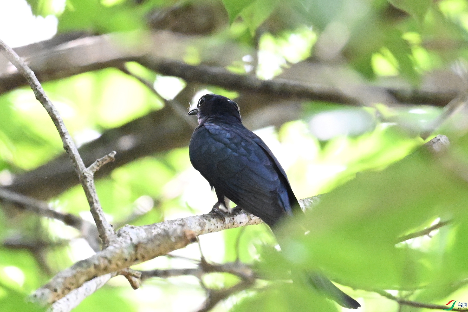 DSC_0572.JPG