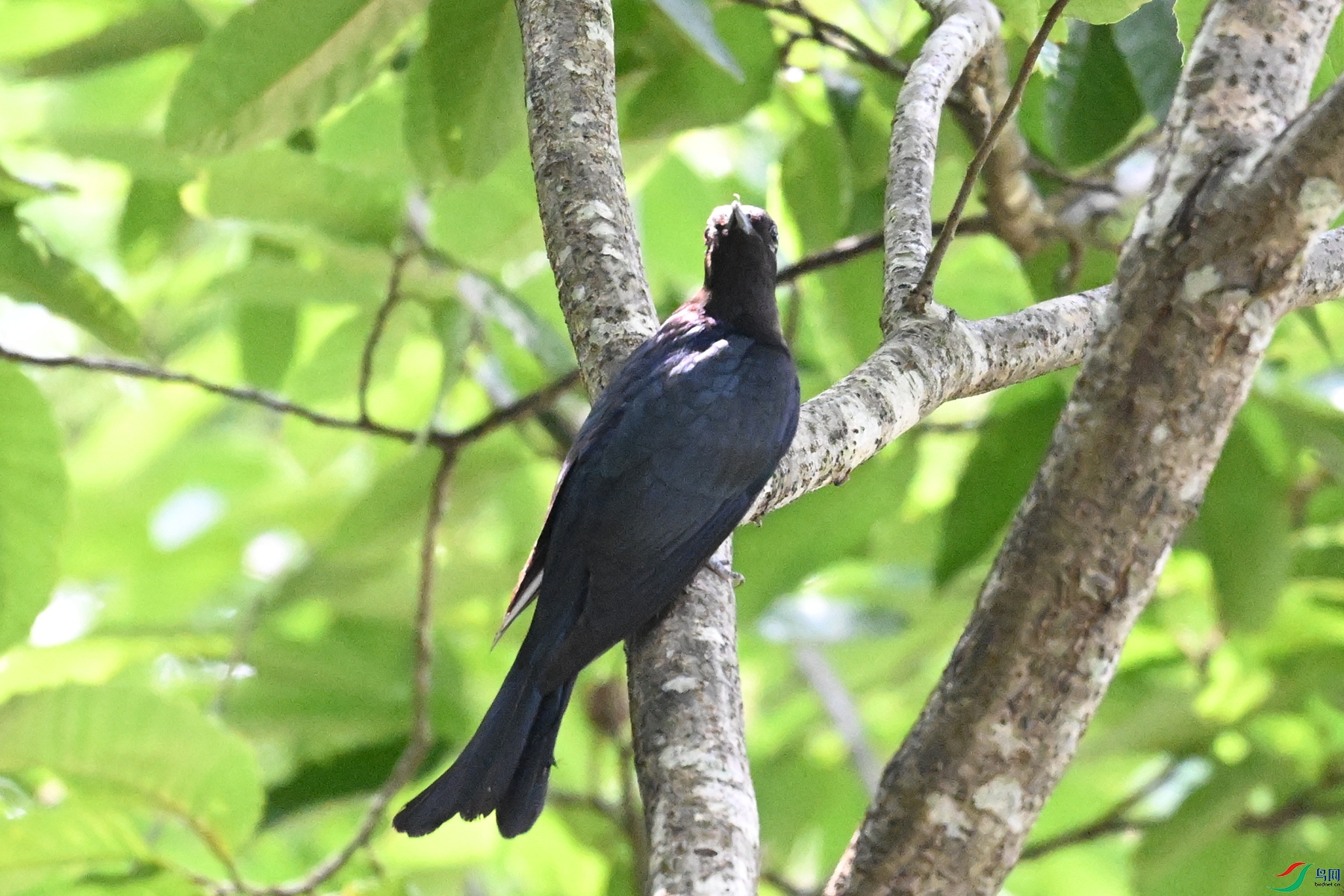 DSC_0614.JPG