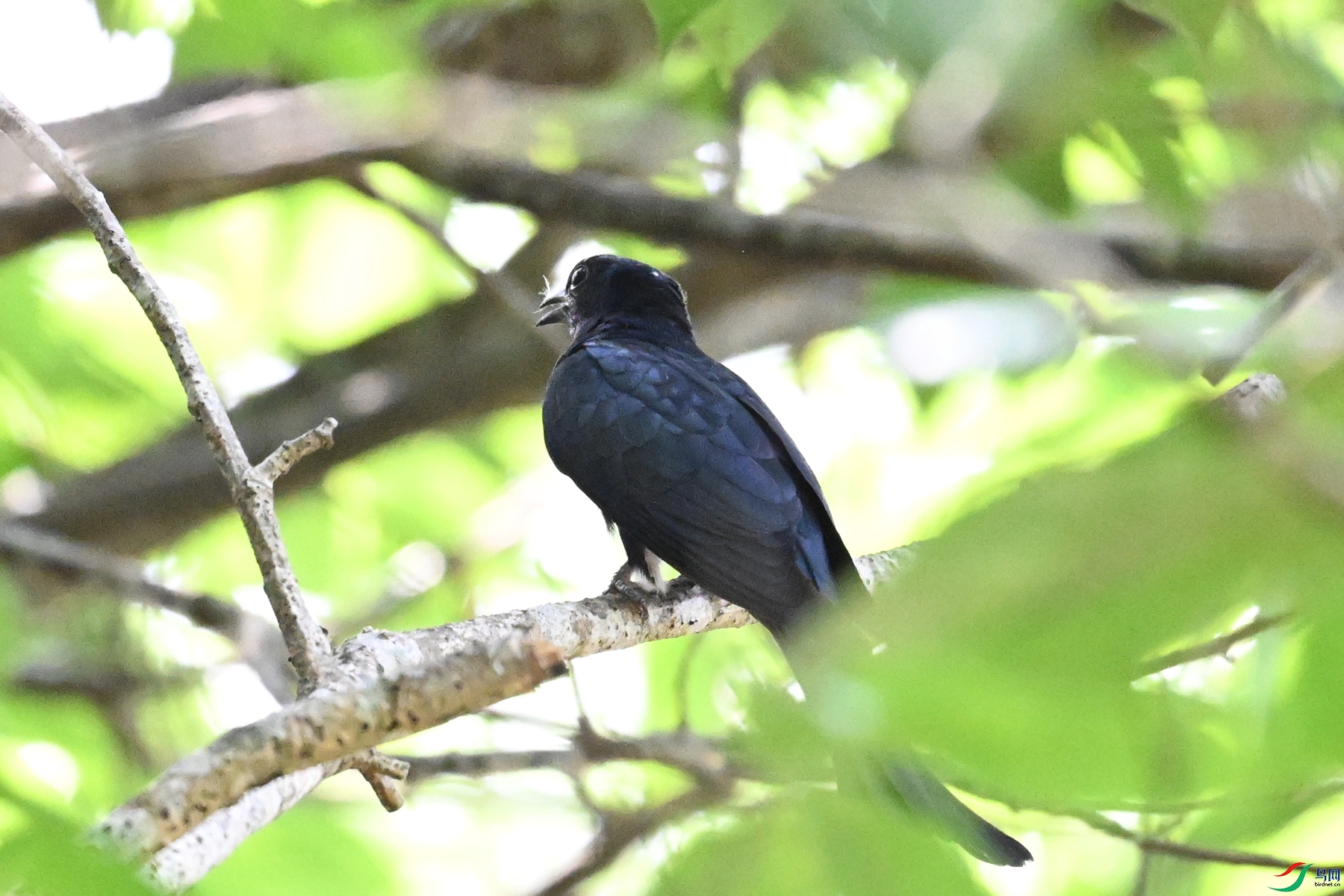DSC_0573.JPG