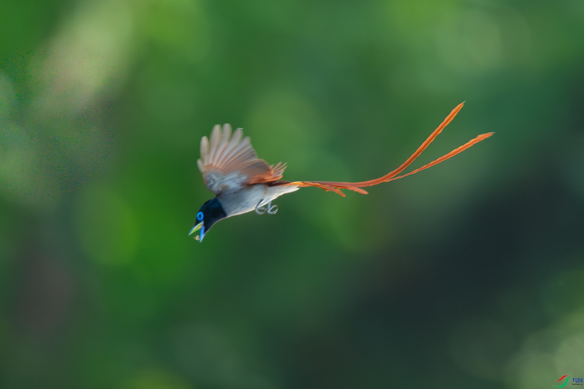 DSC_3069.jpg