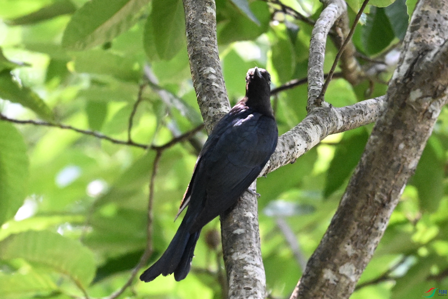 DSC_0620.JPG