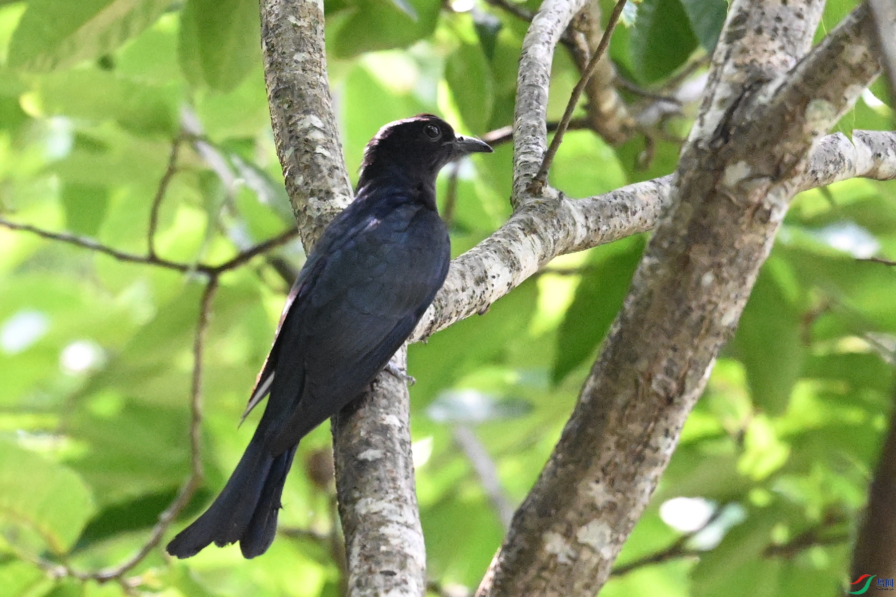 DSC_0607.JPG