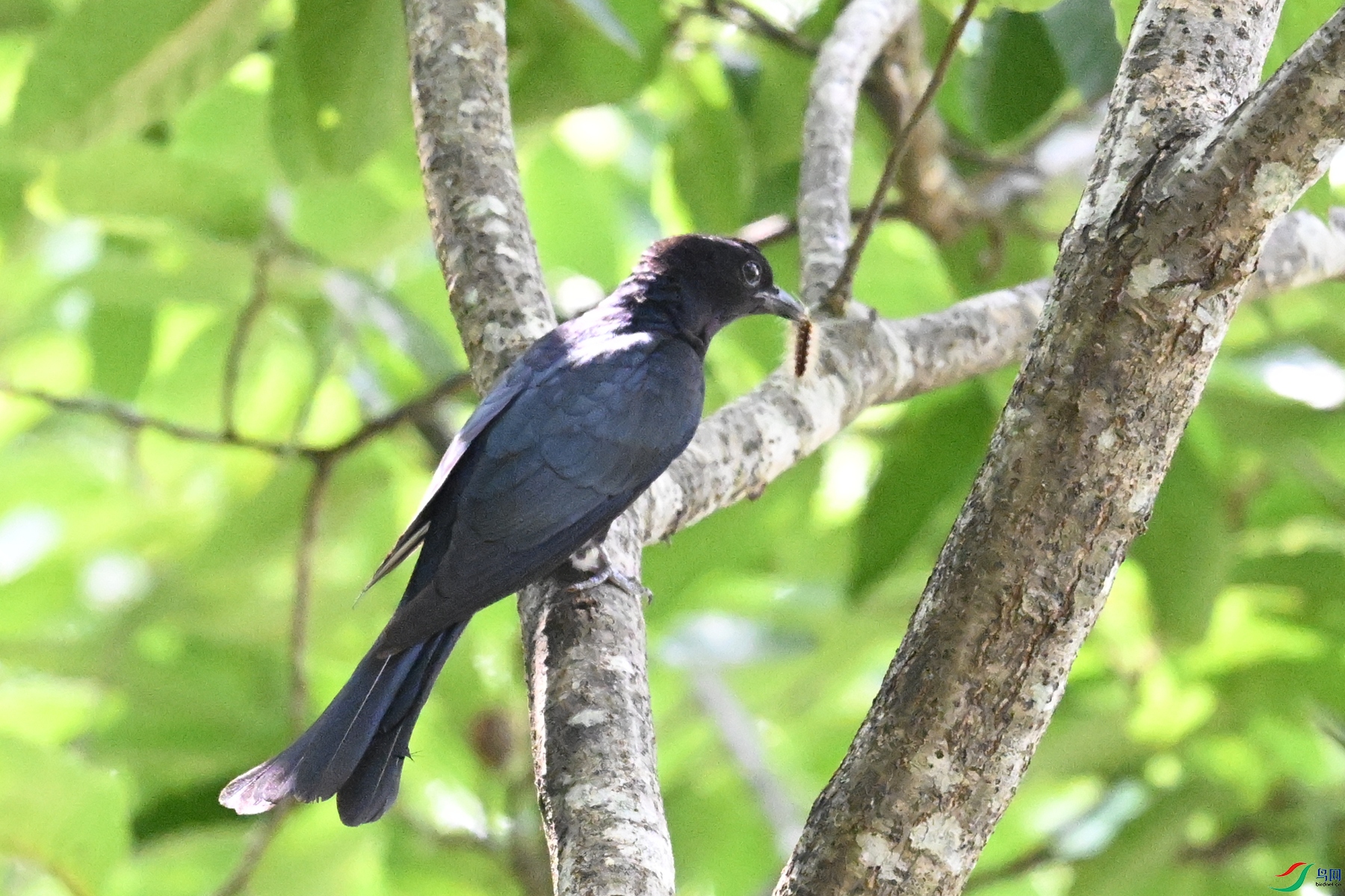 DSC_0591.JPG