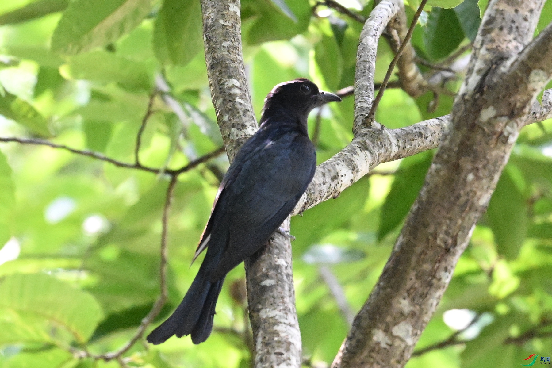 DSC_0609.JPG