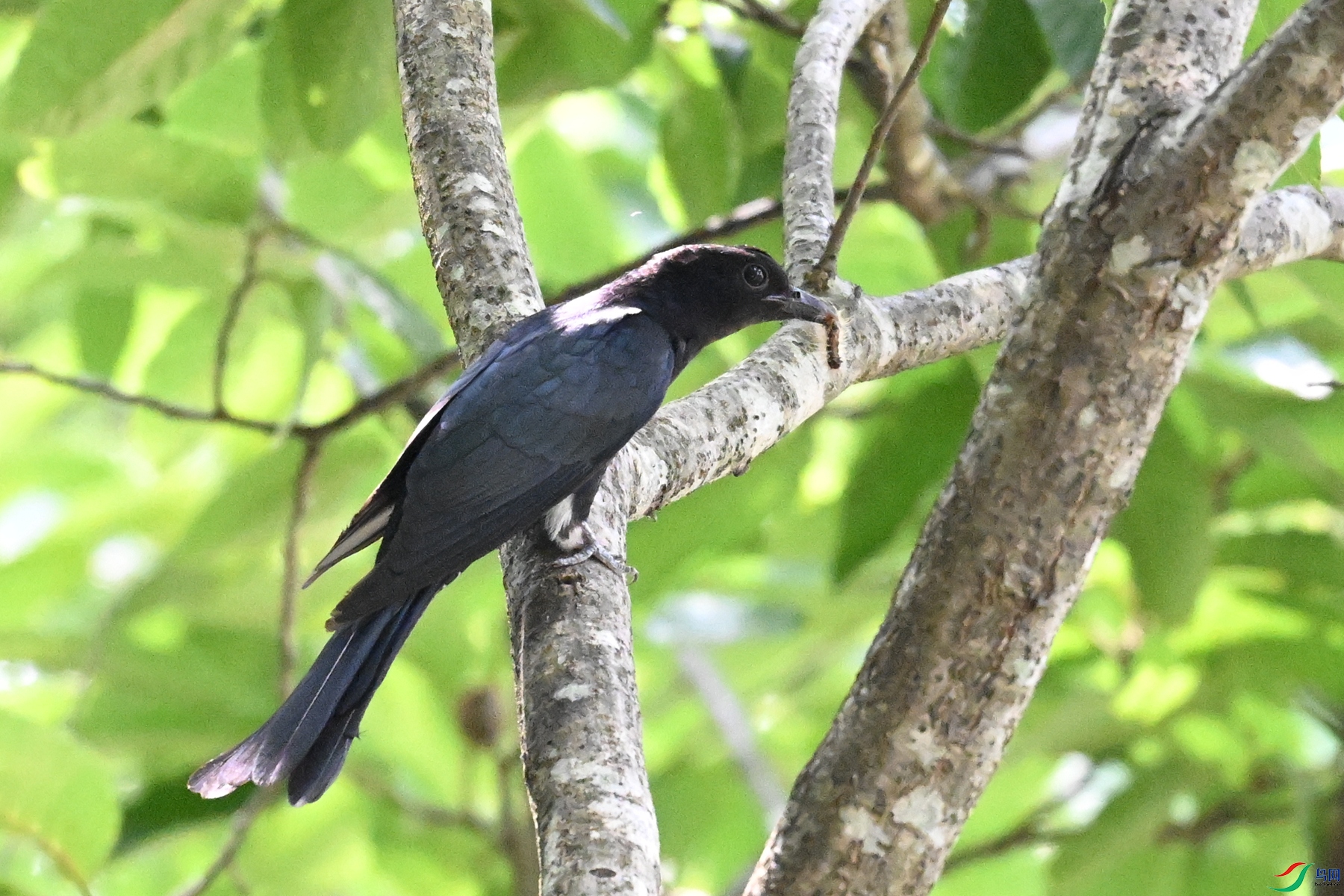 DSC_0592.JPG