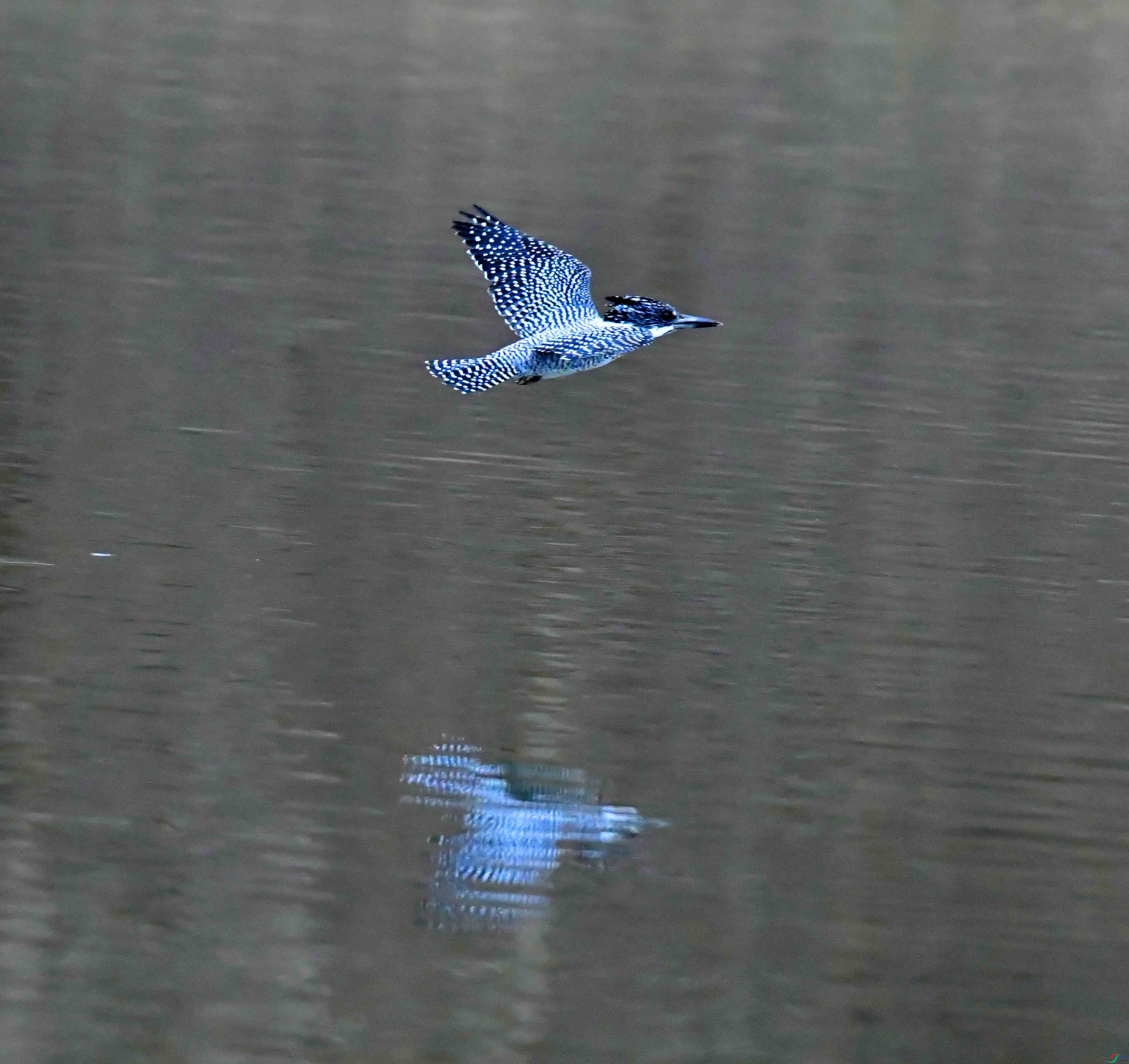 DSC_0585.JPG
