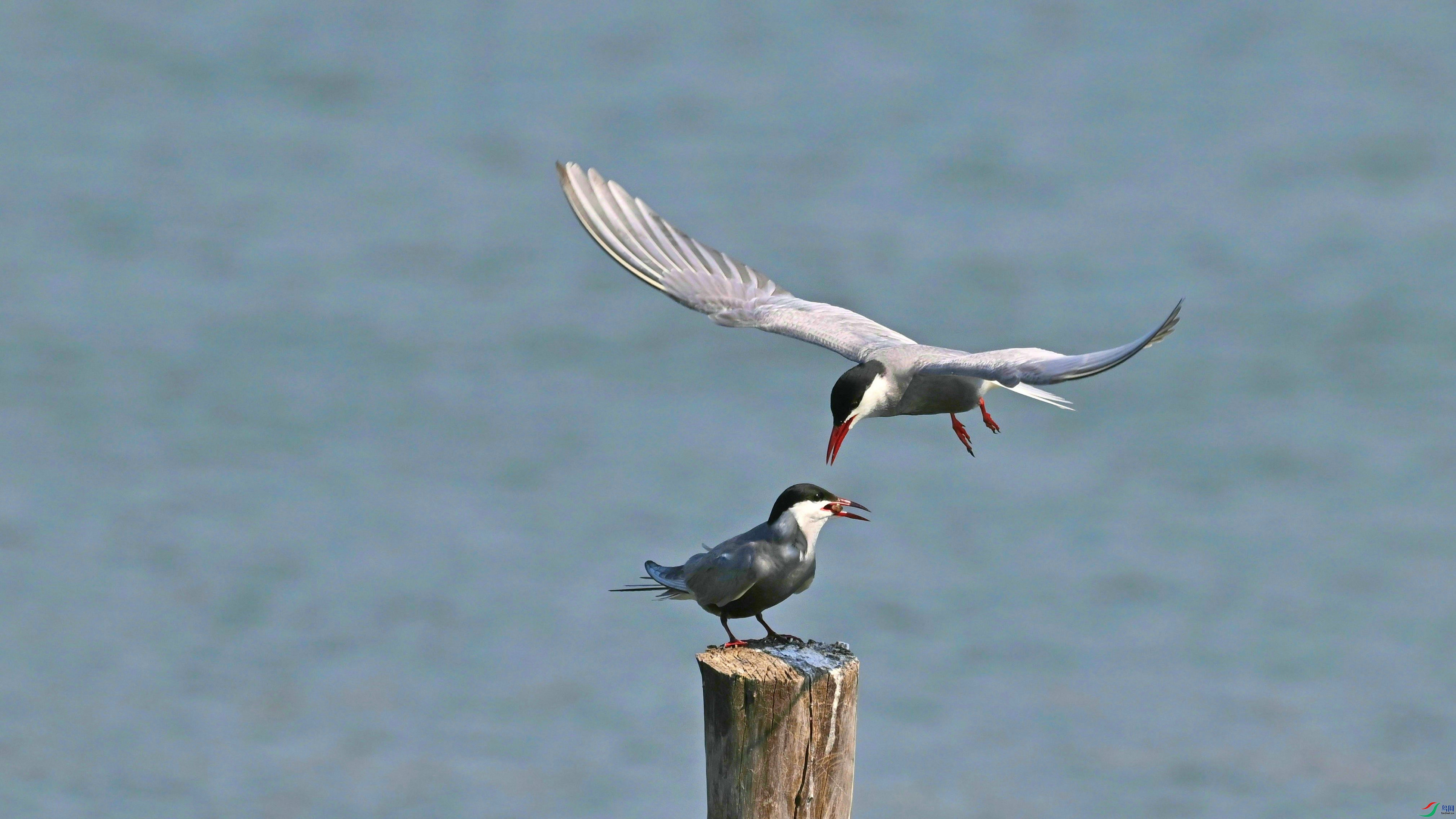DSC_3806.JPG