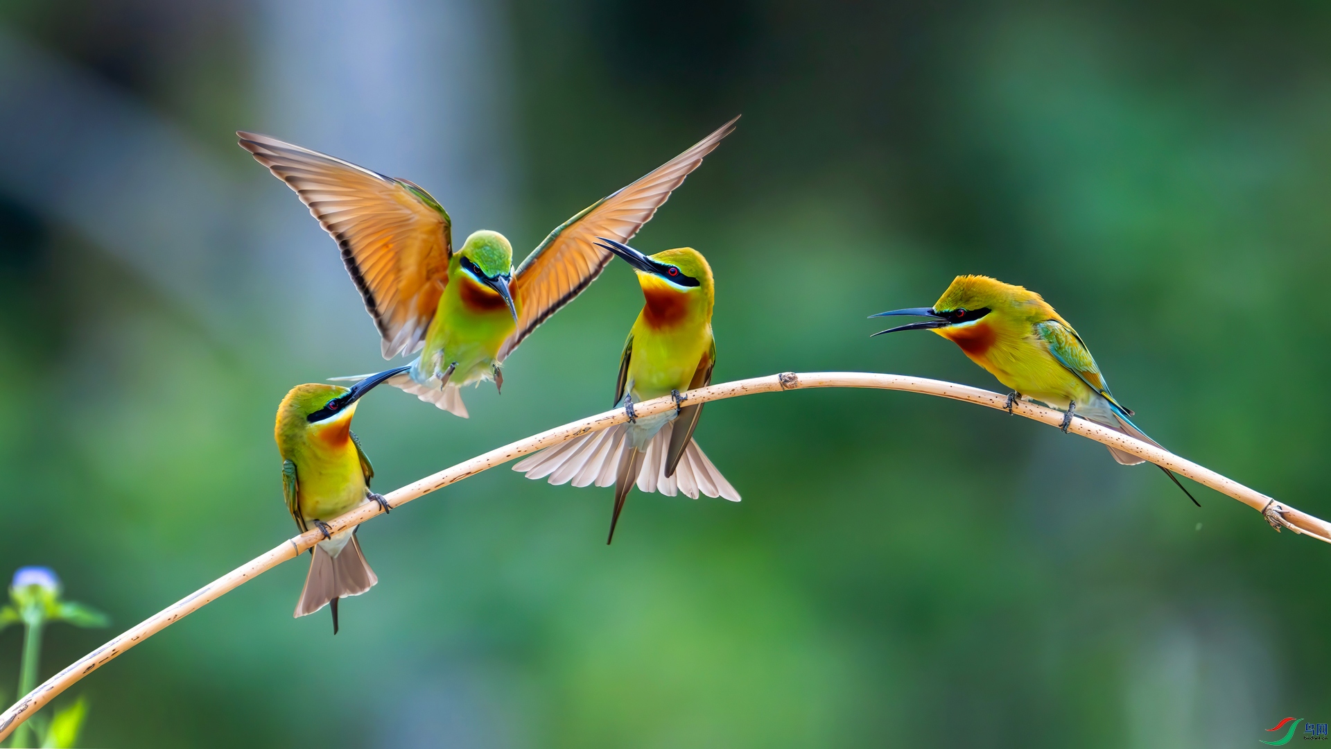 _DSC0179-����ǿ-NR-����-2.jpg