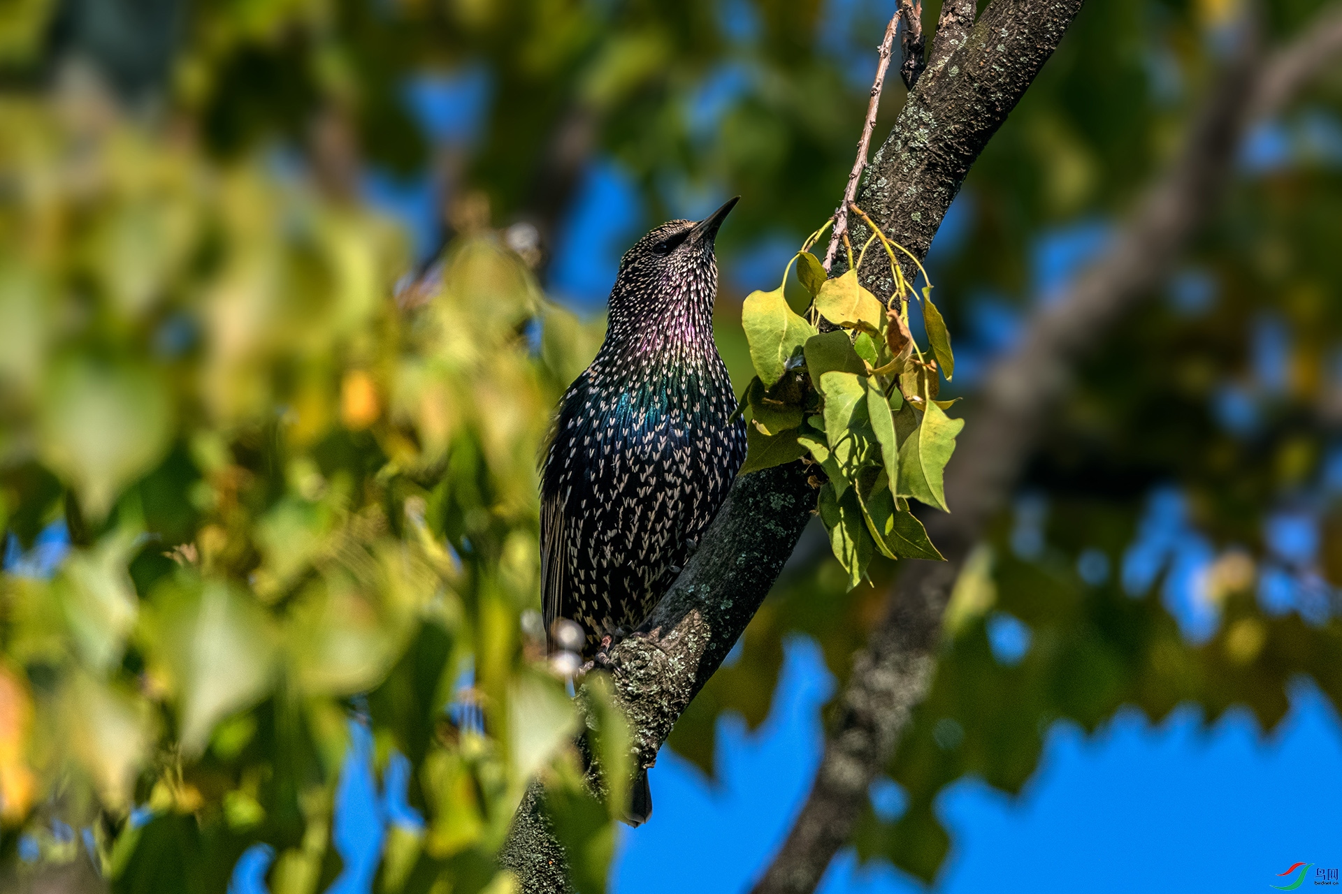 _AUU1097 �ϳ����(25.11.26).jpg
