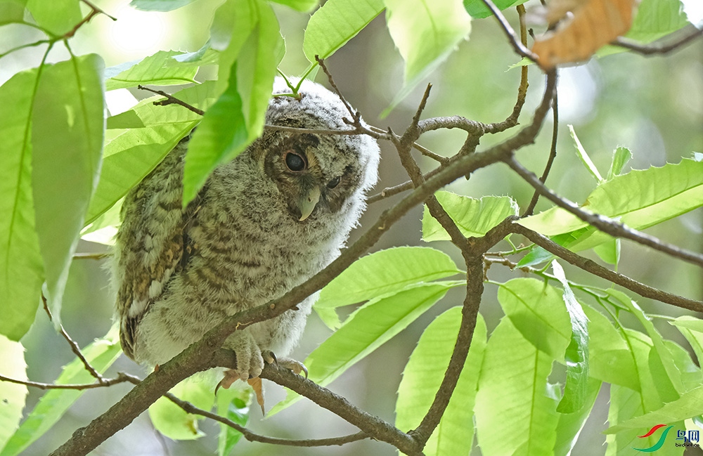 DSCF0505.1.jpg