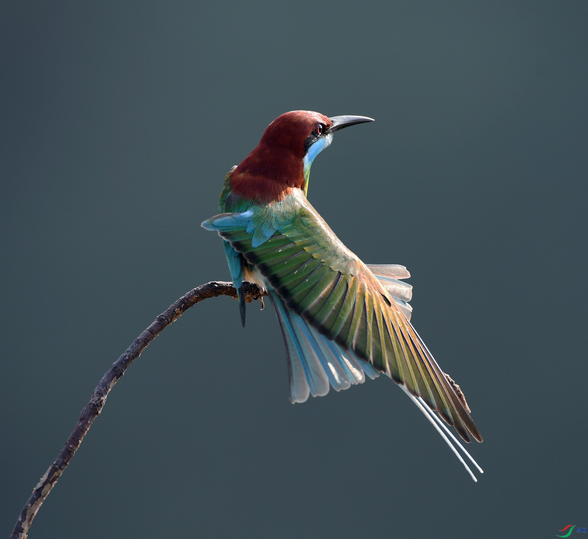 DSC_3952.jpg