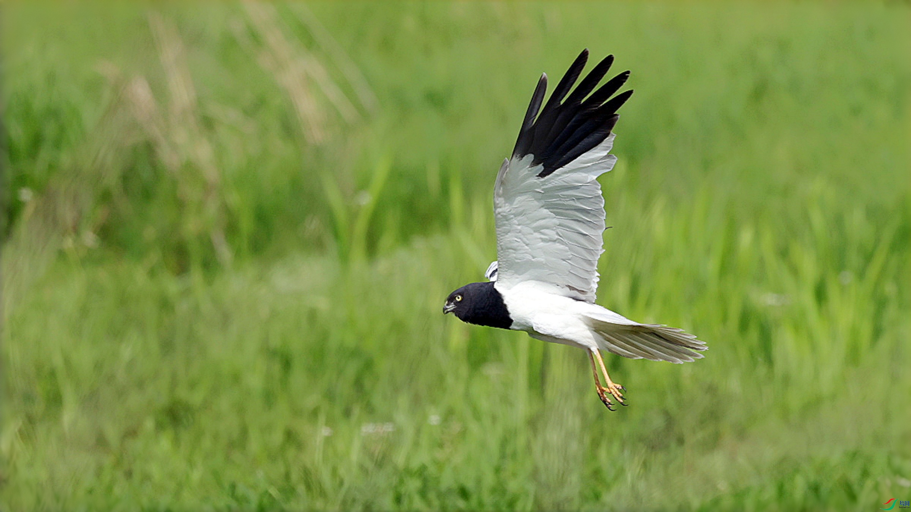 1V2A9241_����.jpg