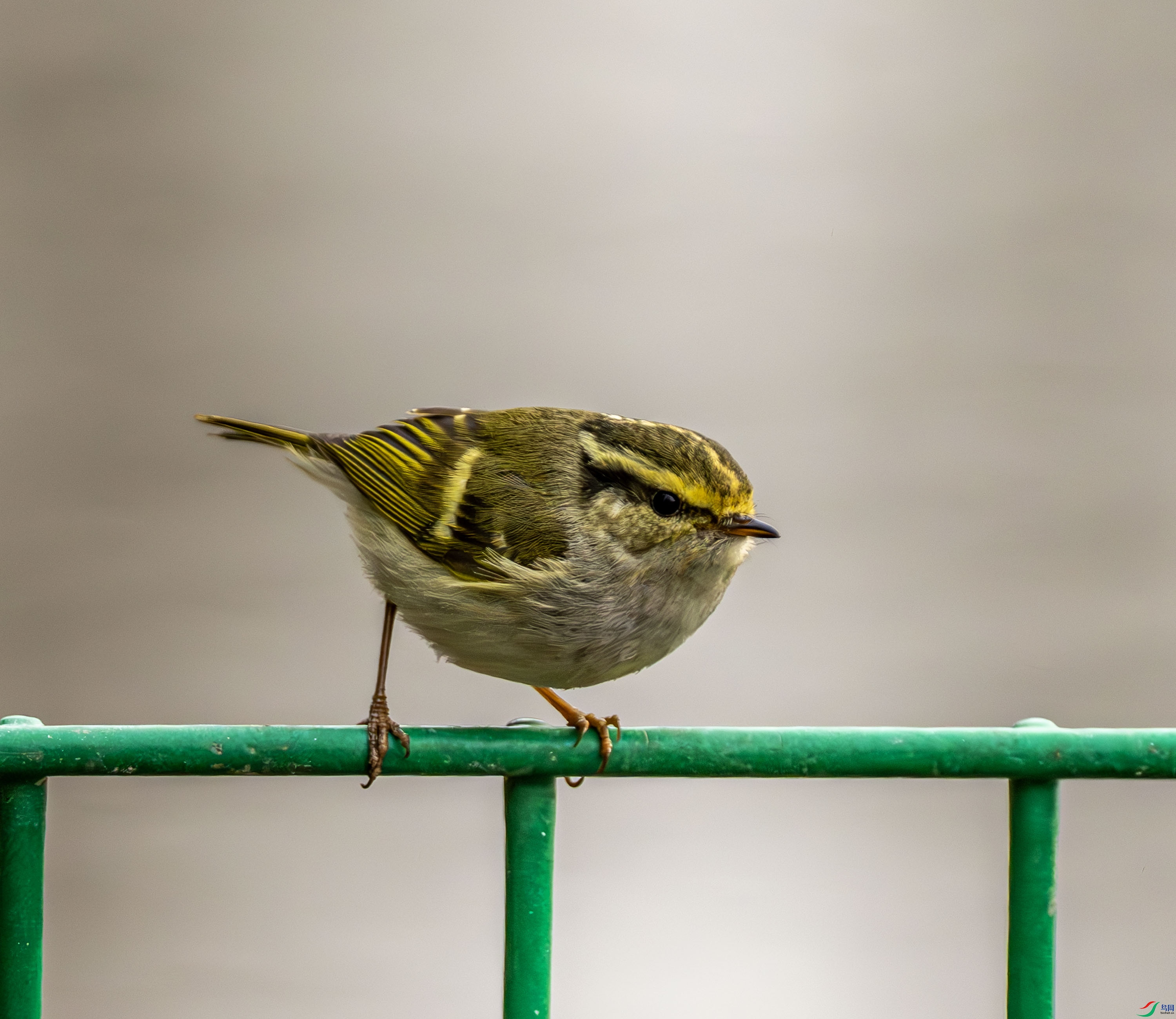 ������ݺ-01 (4 - 7).jpg