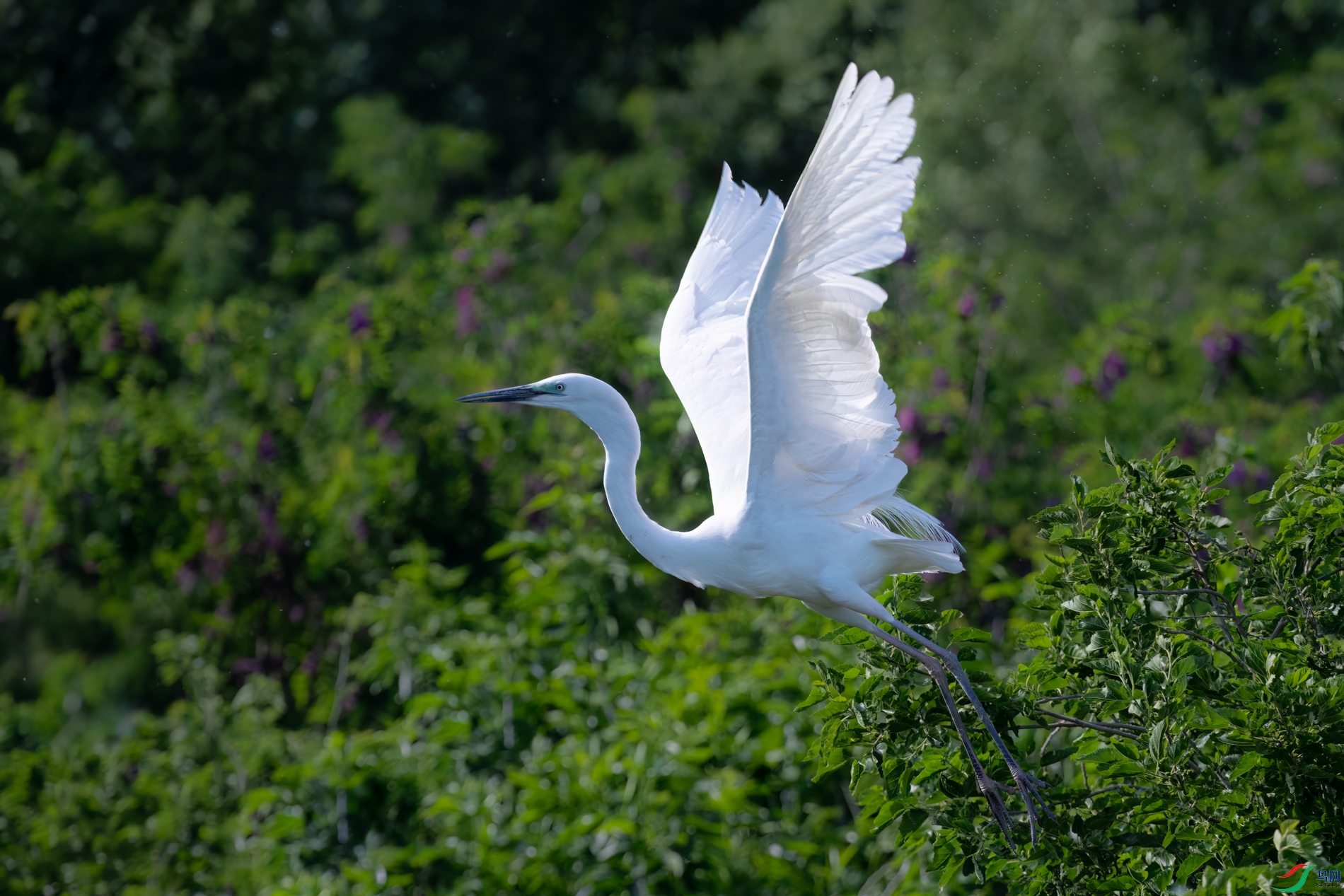 DSC_1234sen2026-5-10-239-�༭.jpg