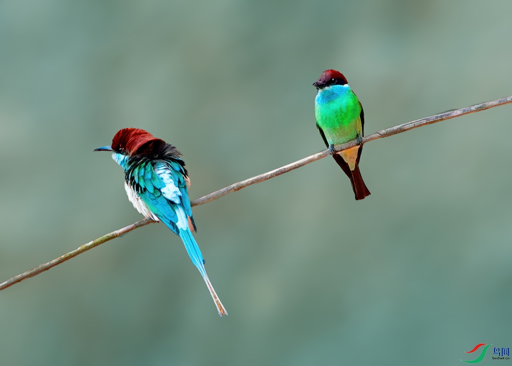 _DSC7870p-.jpg