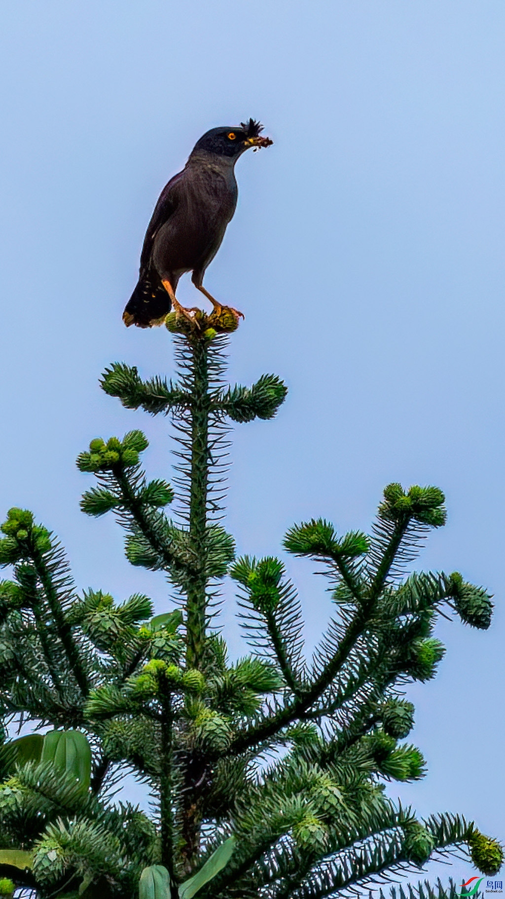 _DSC9044.jpg